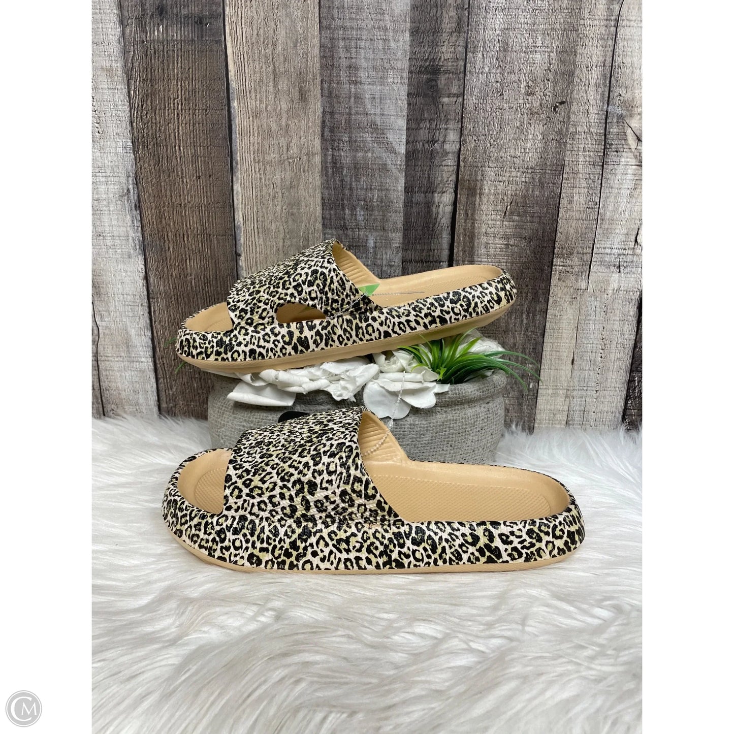 Sandals Flip Flops By Cme In Tan, Size: 10