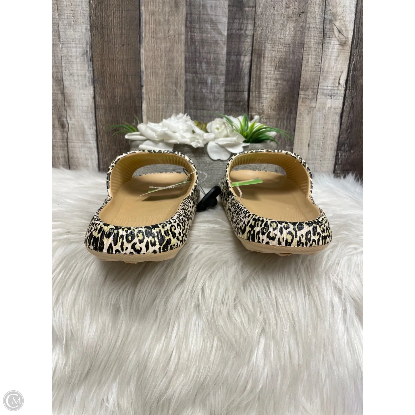 Sandals Flip Flops By Cme In Tan, Size: 10