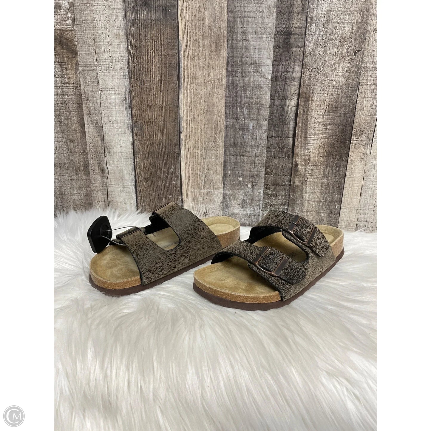 Sandals Flats By Cushionaire In Brown, Size: 7