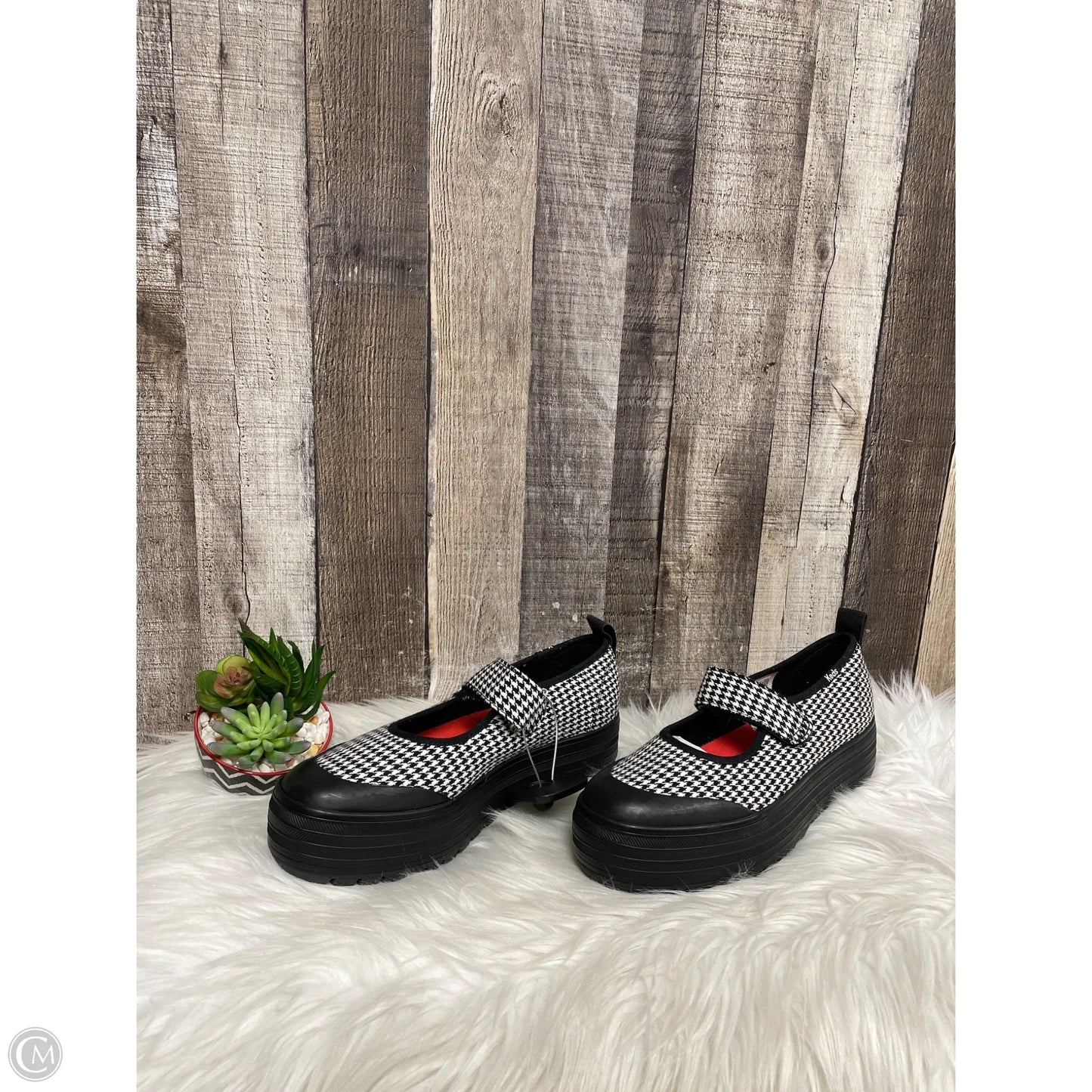 Shoes Flats By Keds In Checkered Pattern, Size: 8