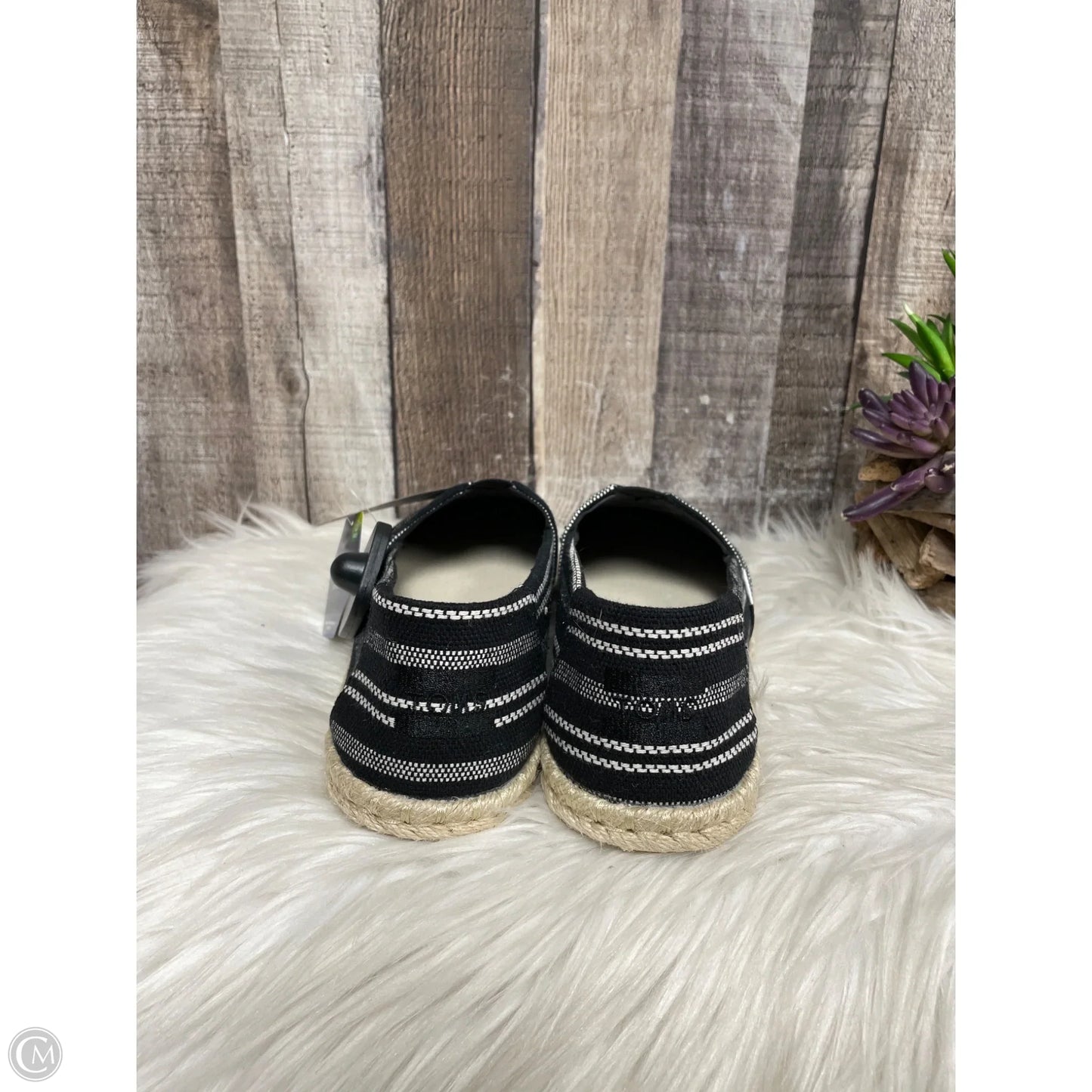 Shoes Flats By Toms In Black, Size: 9.5