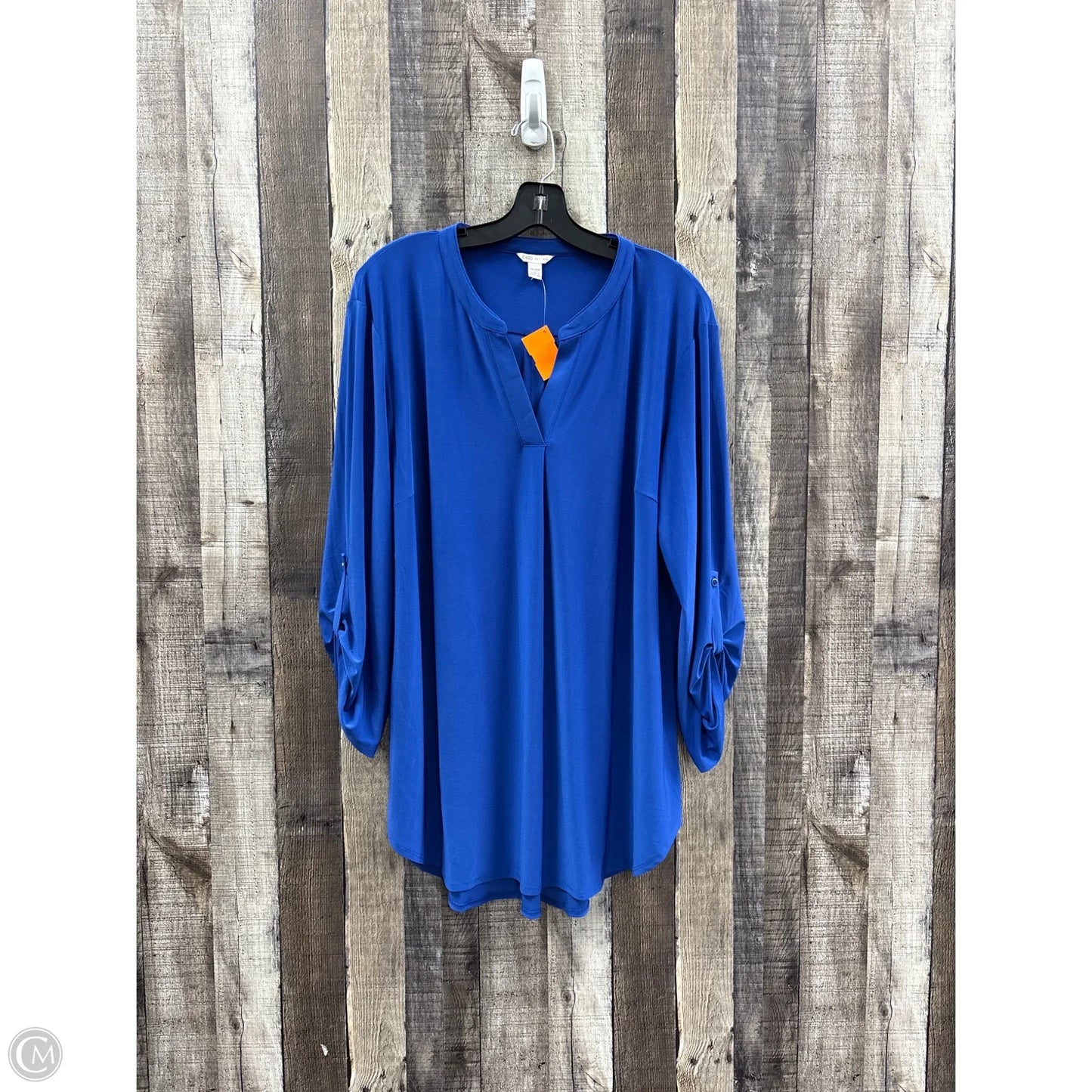 Top Long Sleeve By Cato In Blue, Size: 1x
