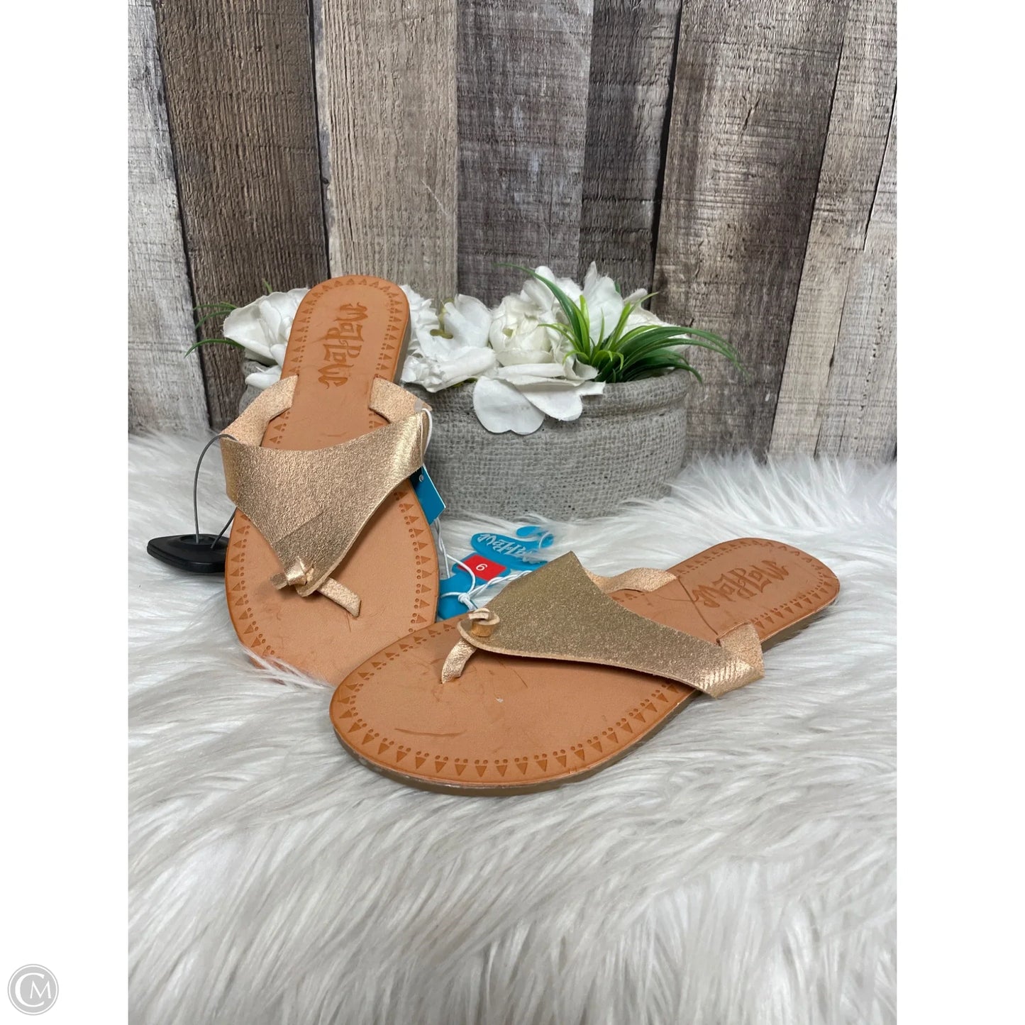 Sandals Flats By Cme In Copper, Size: 6