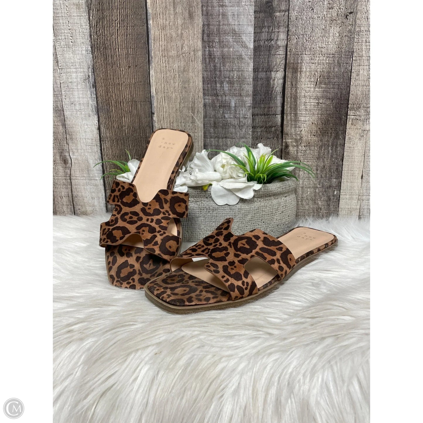 Sandals Flats By A New Day In Animal Print, Size: 7