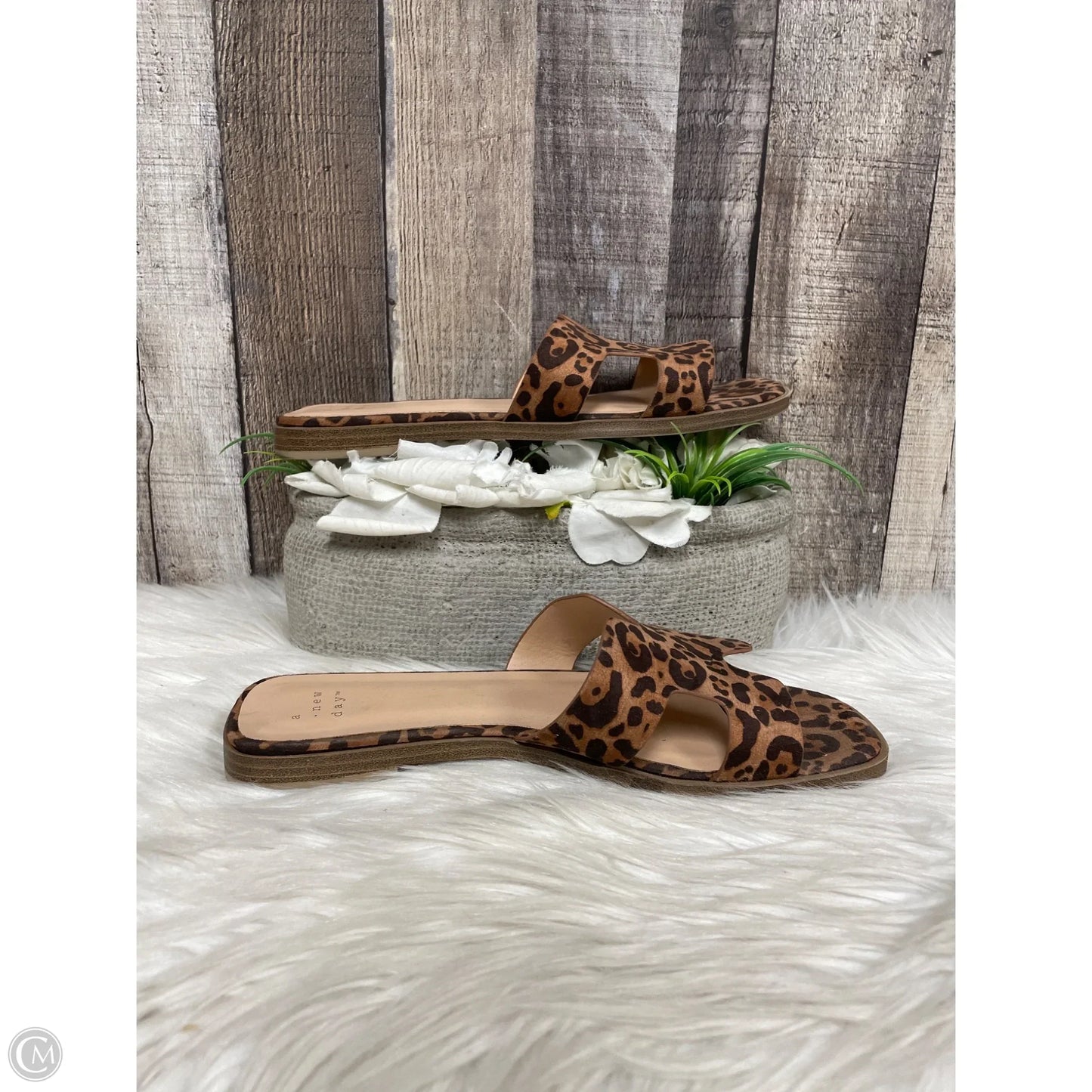 Sandals Flats By A New Day In Animal Print, Size: 7