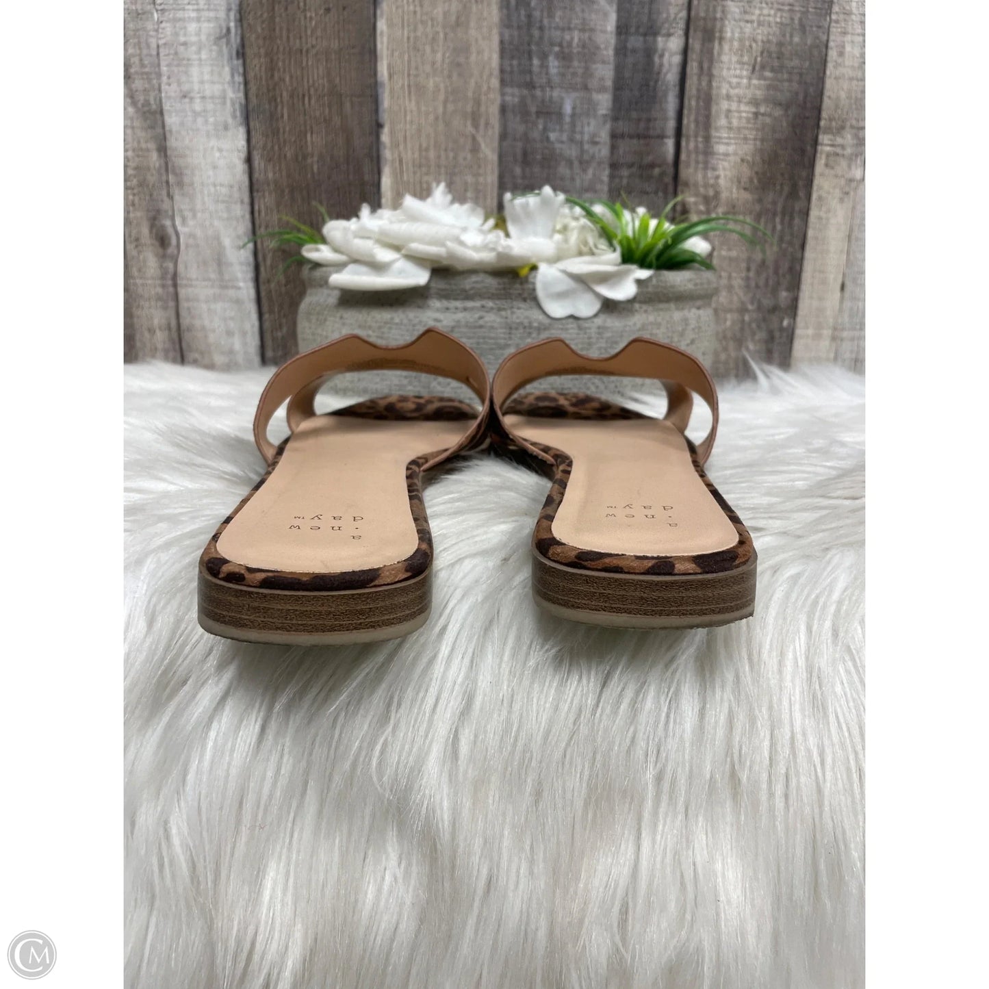Sandals Flats By A New Day In Animal Print, Size: 7