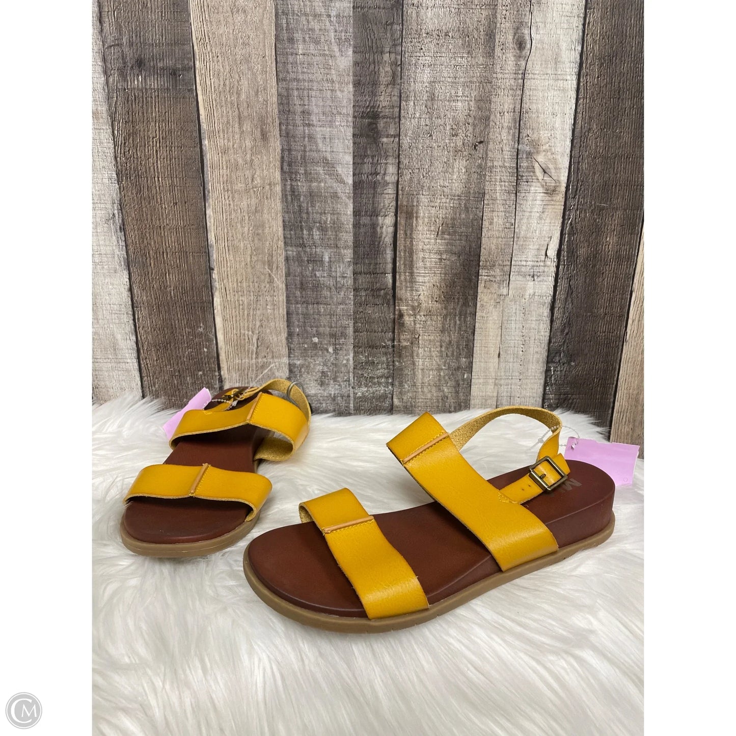 Sandals Flats By Mia In Gold, Size: 10