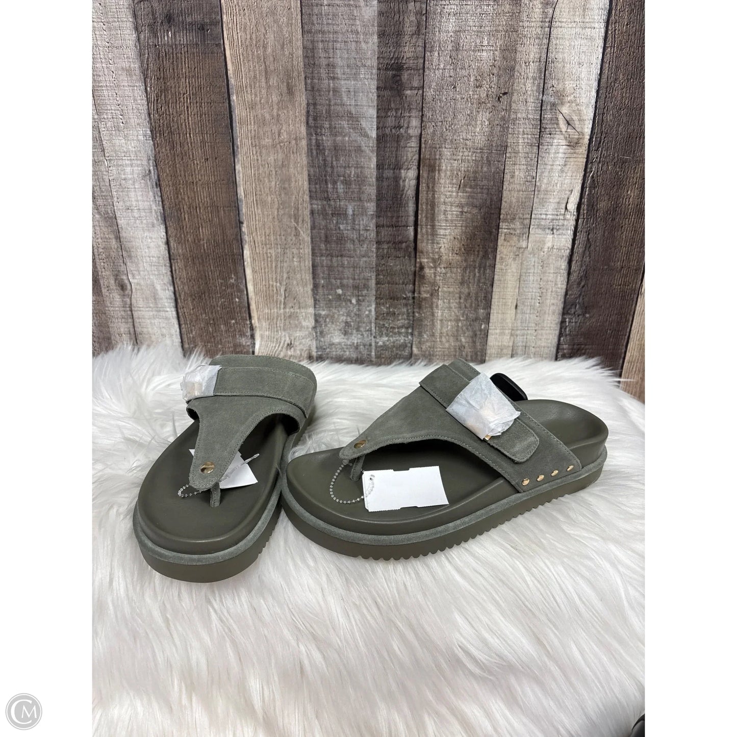 Sandals Flats By Steve Madden In Green, Size: 8.5