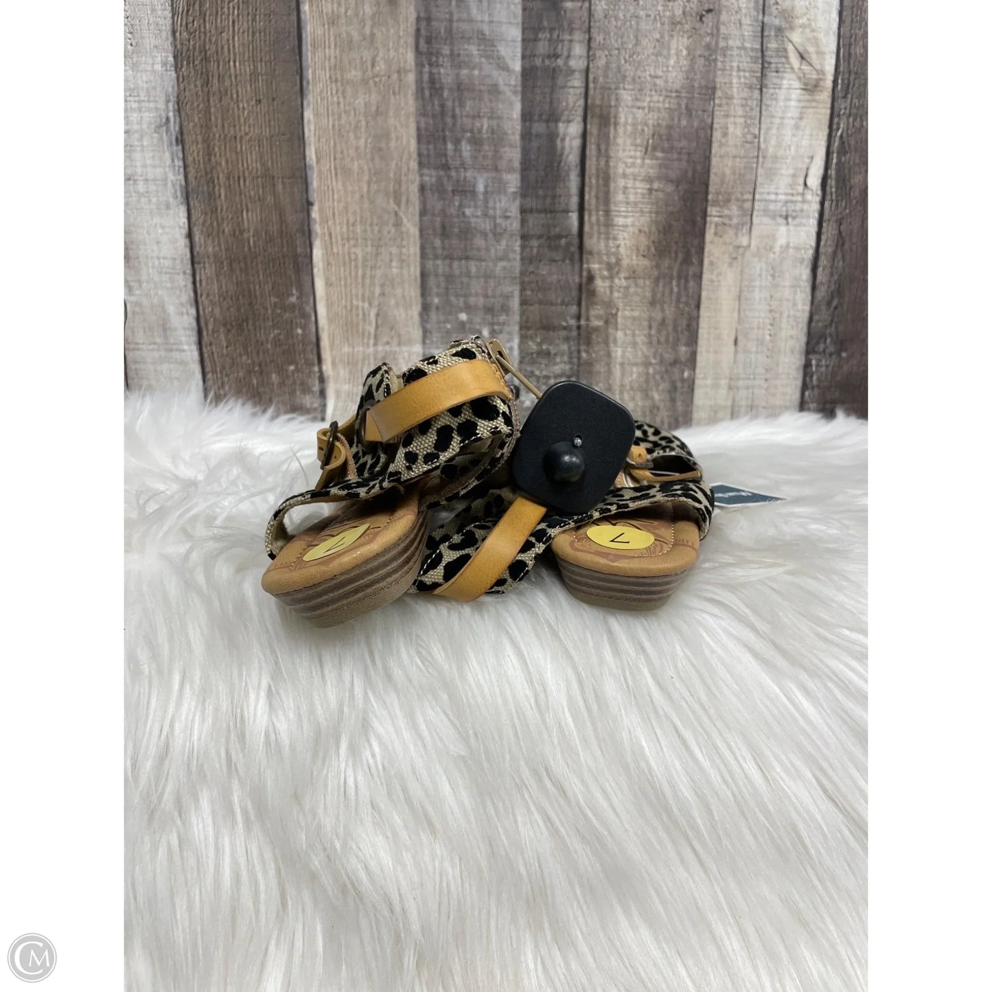 Sandals Flats By Blowfish In Animal Print, Size: 7