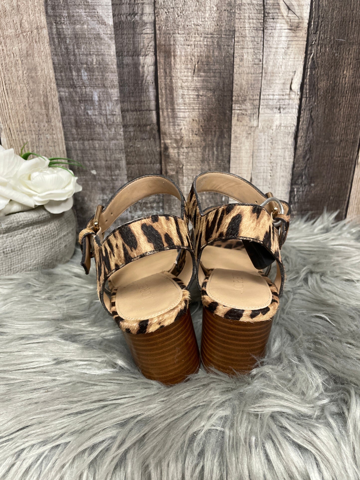 Animal Print Sandals Heels Block J. Crew, Size 8