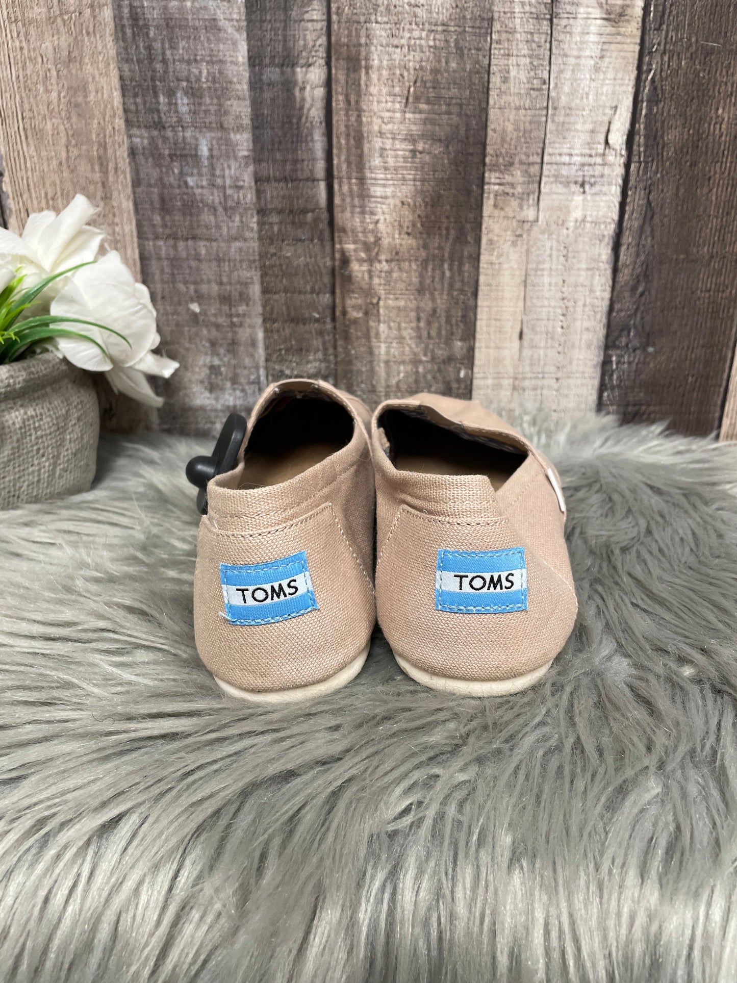 Shoes Flats By Toms In Tan, Size: 8.5