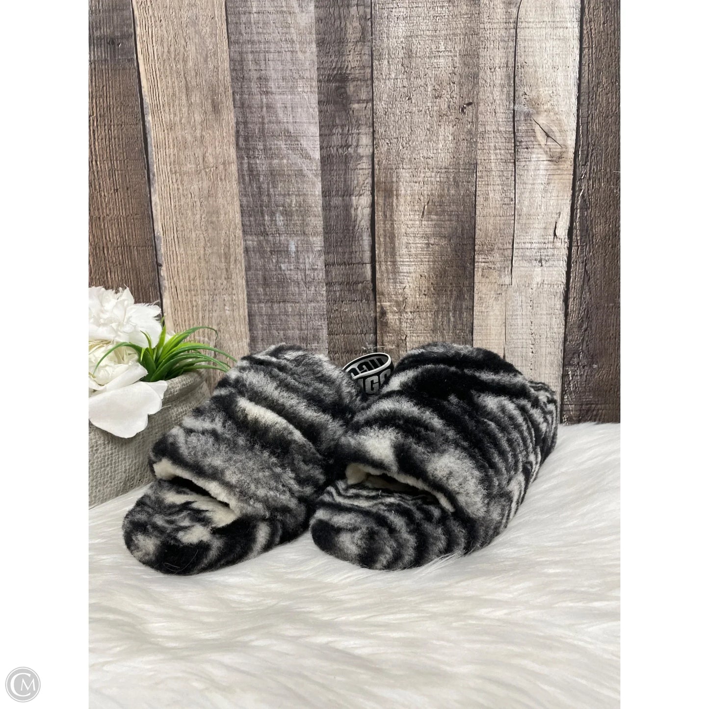 Slippers Designer By Ugg In Black & White