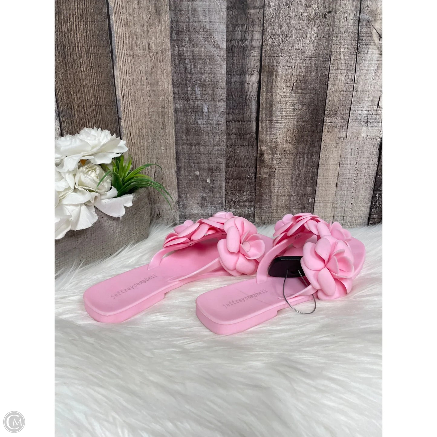 Sandals Flats By Jeffery Campbell In Pink, Size: 8