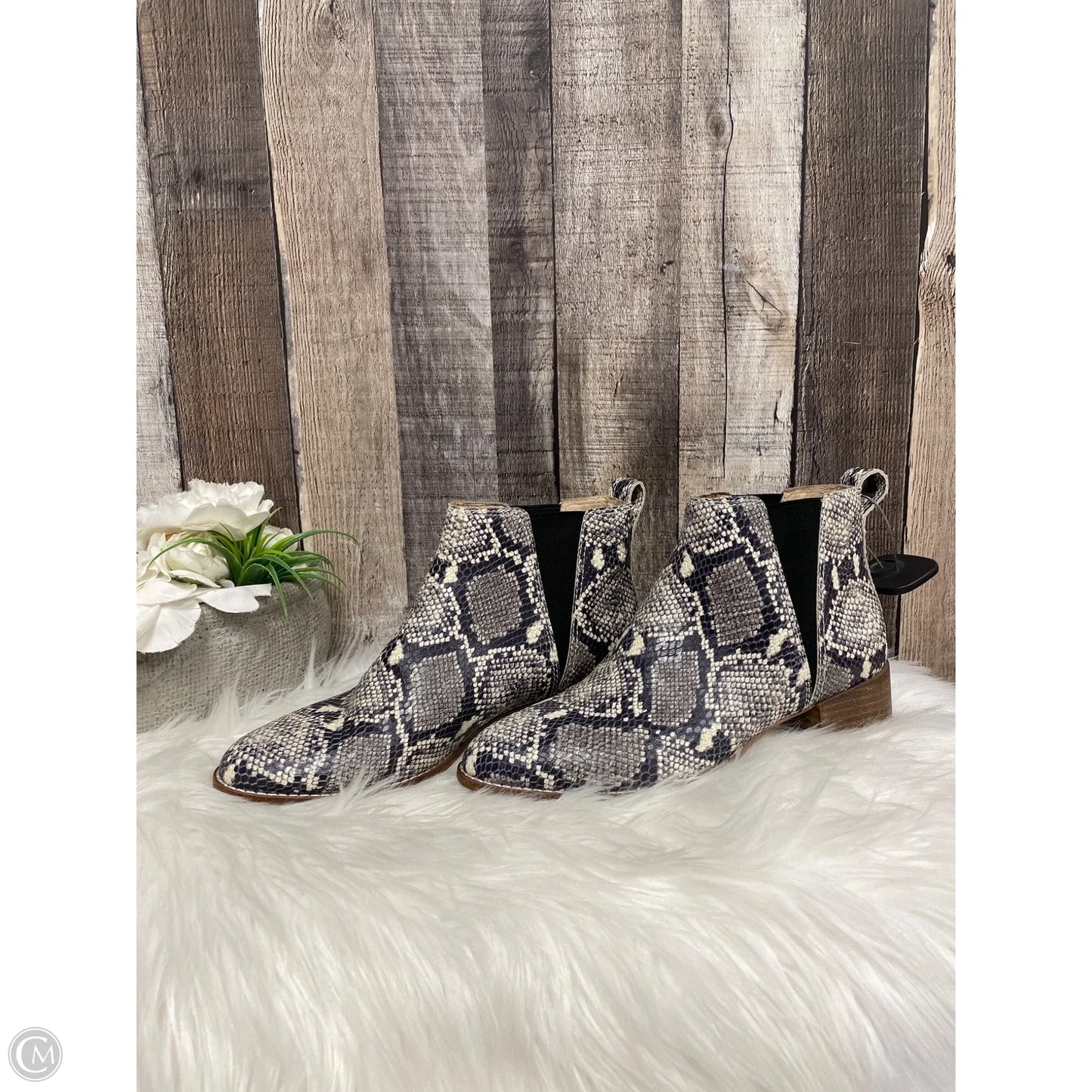 Boots Ankle Flats By Madewell In Snakeskin Print, Size: 7