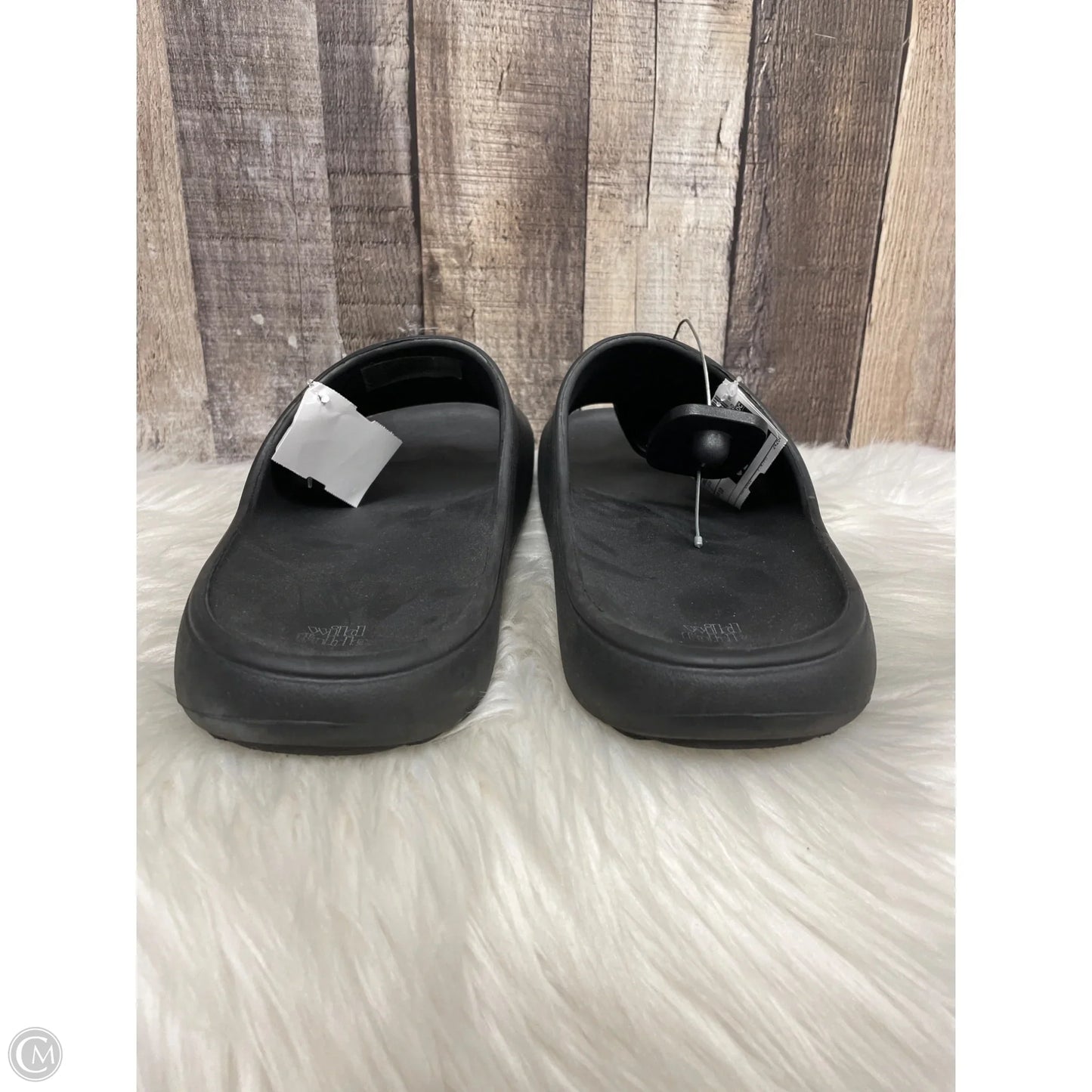 Sandals Flats By Wild Fable In Black, Size: 10