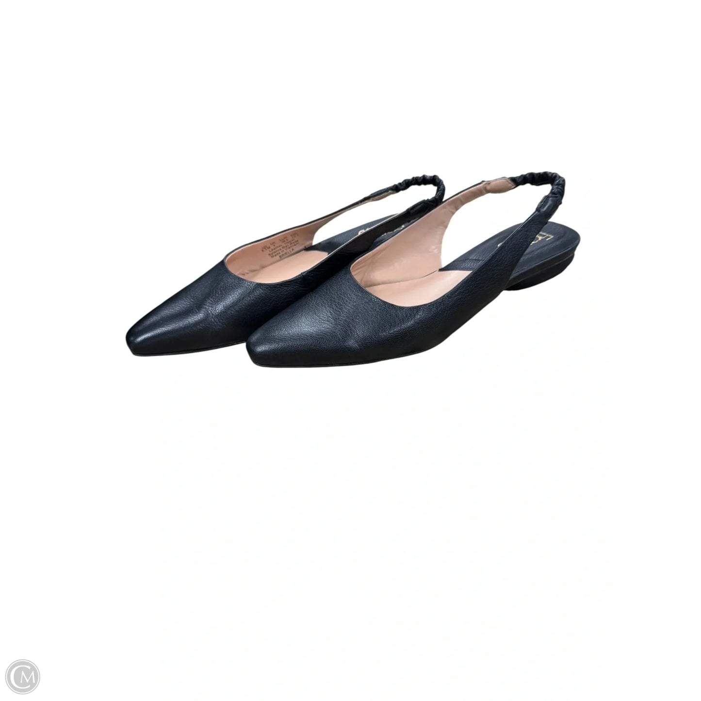 Shoes Flats By Franco Sarto In Black, Size: 6.5