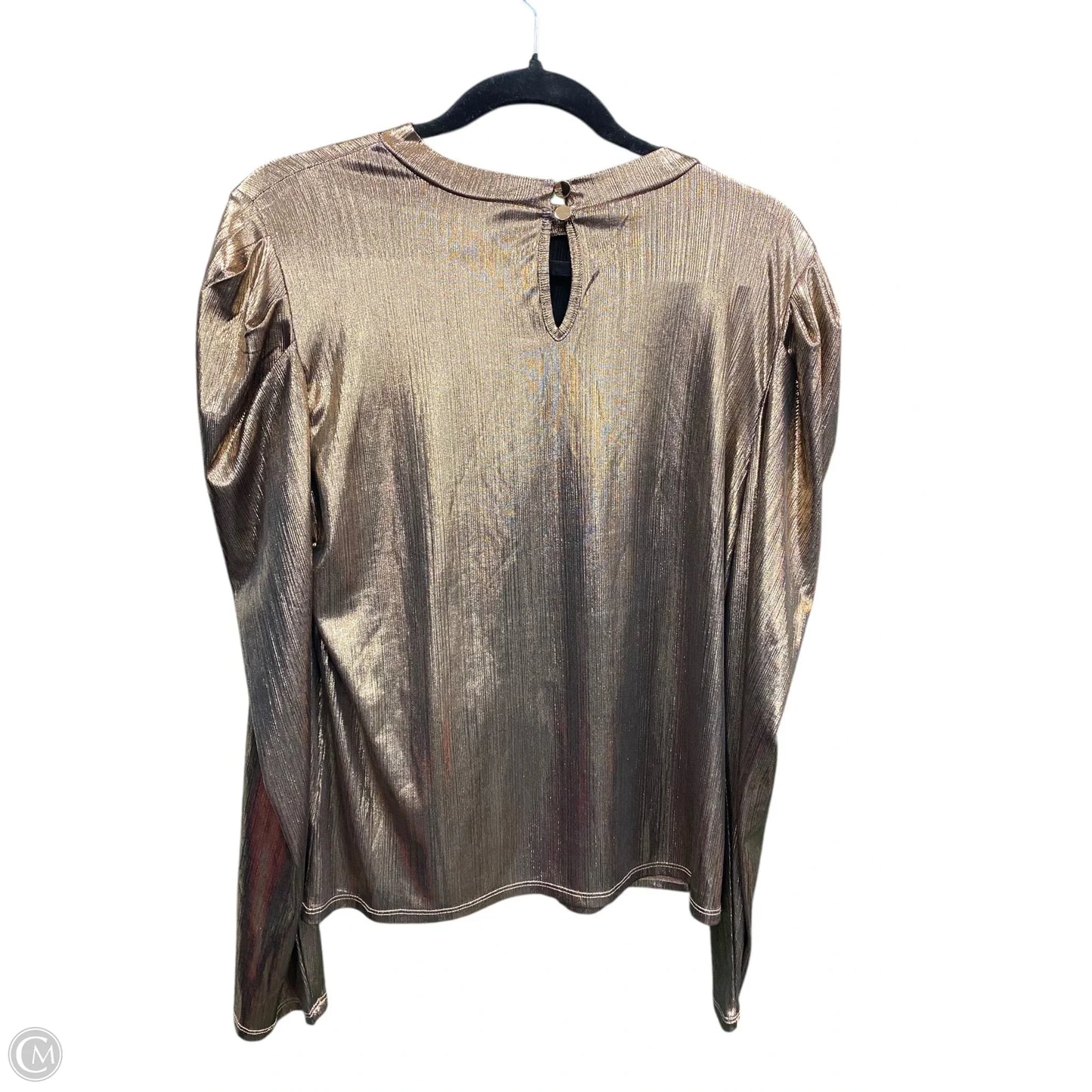 Blouse Long Sleeve By Alice Blue In Copper, Size: Xl