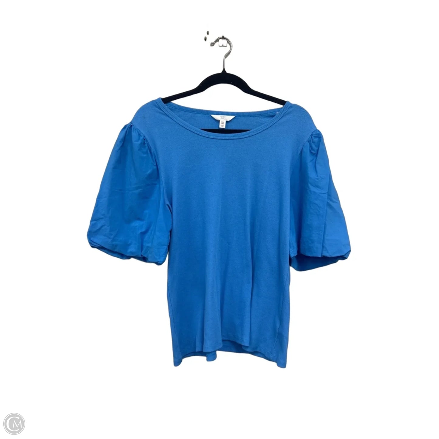 Top Short Sleeve By Time And Tru In Blue, Size: Xxl