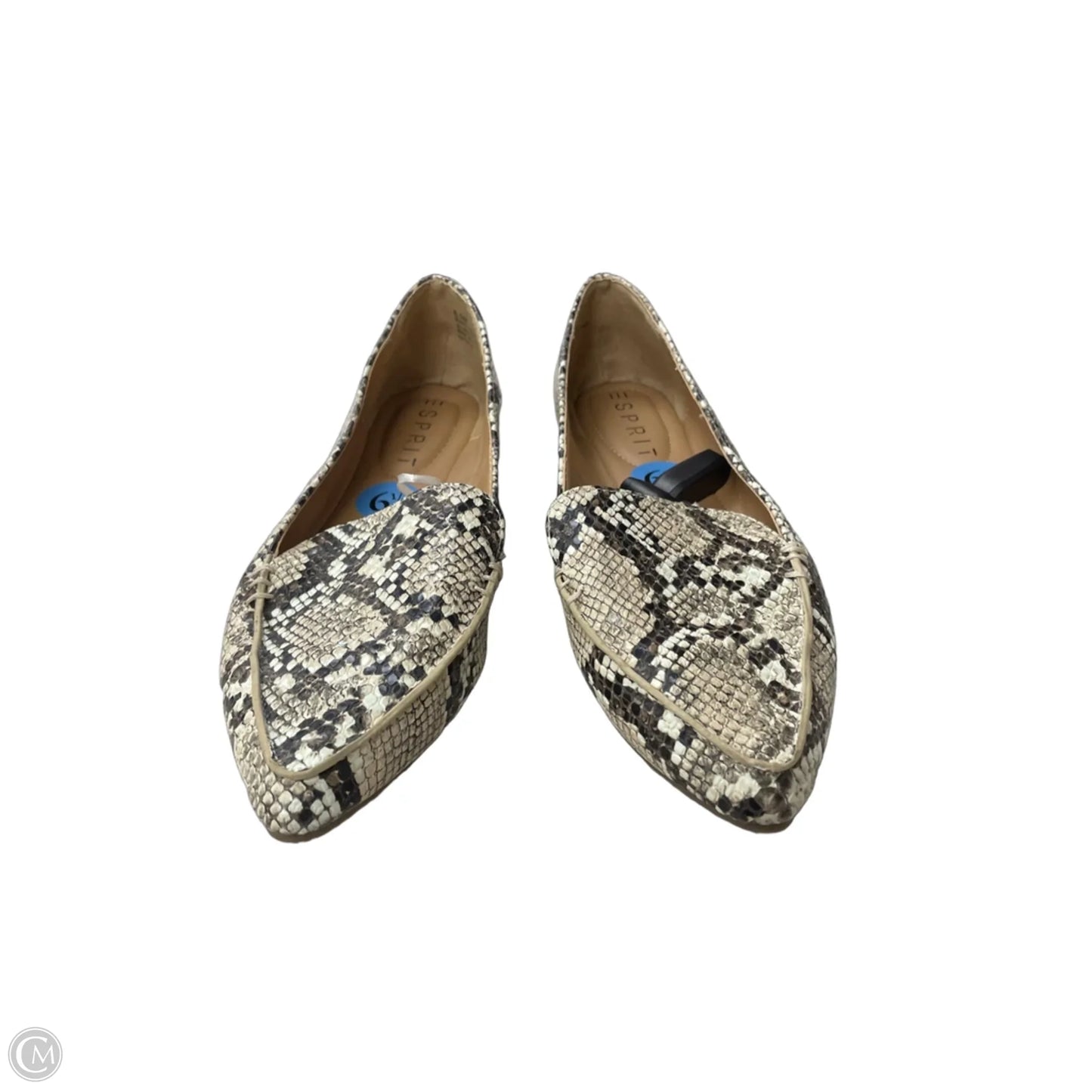 Shoes Flats By Esprit In Snakeskin Print, Size: 6.5