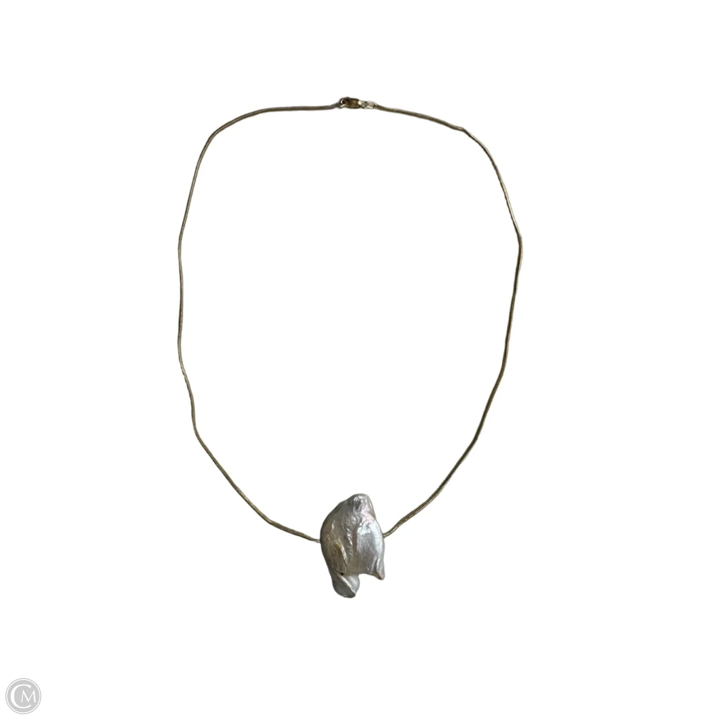 Necklace Pendant By Clothes Mentor, Size: 1