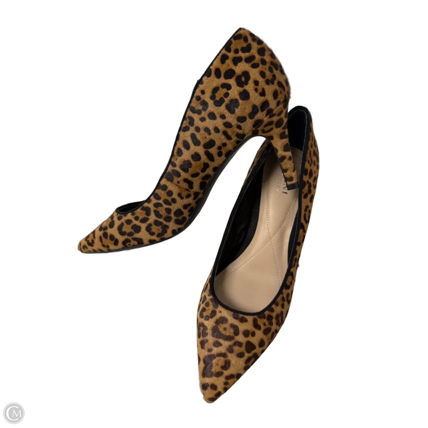 Shoes Heels Stiletto By Alfani In Animal Print, Size: 9