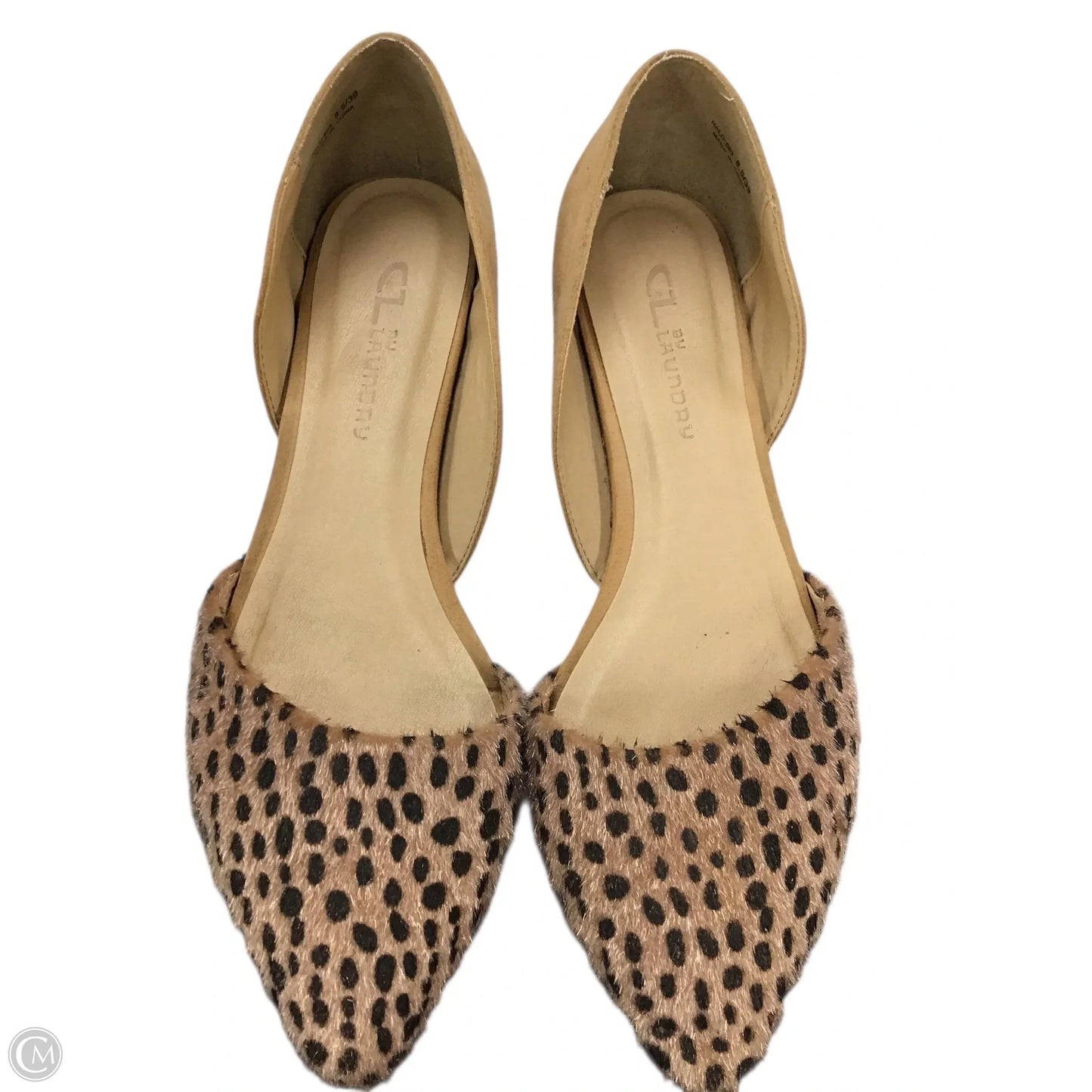 Shoes Flats By Chinese Laundry In Animal Print, Size: 8.5