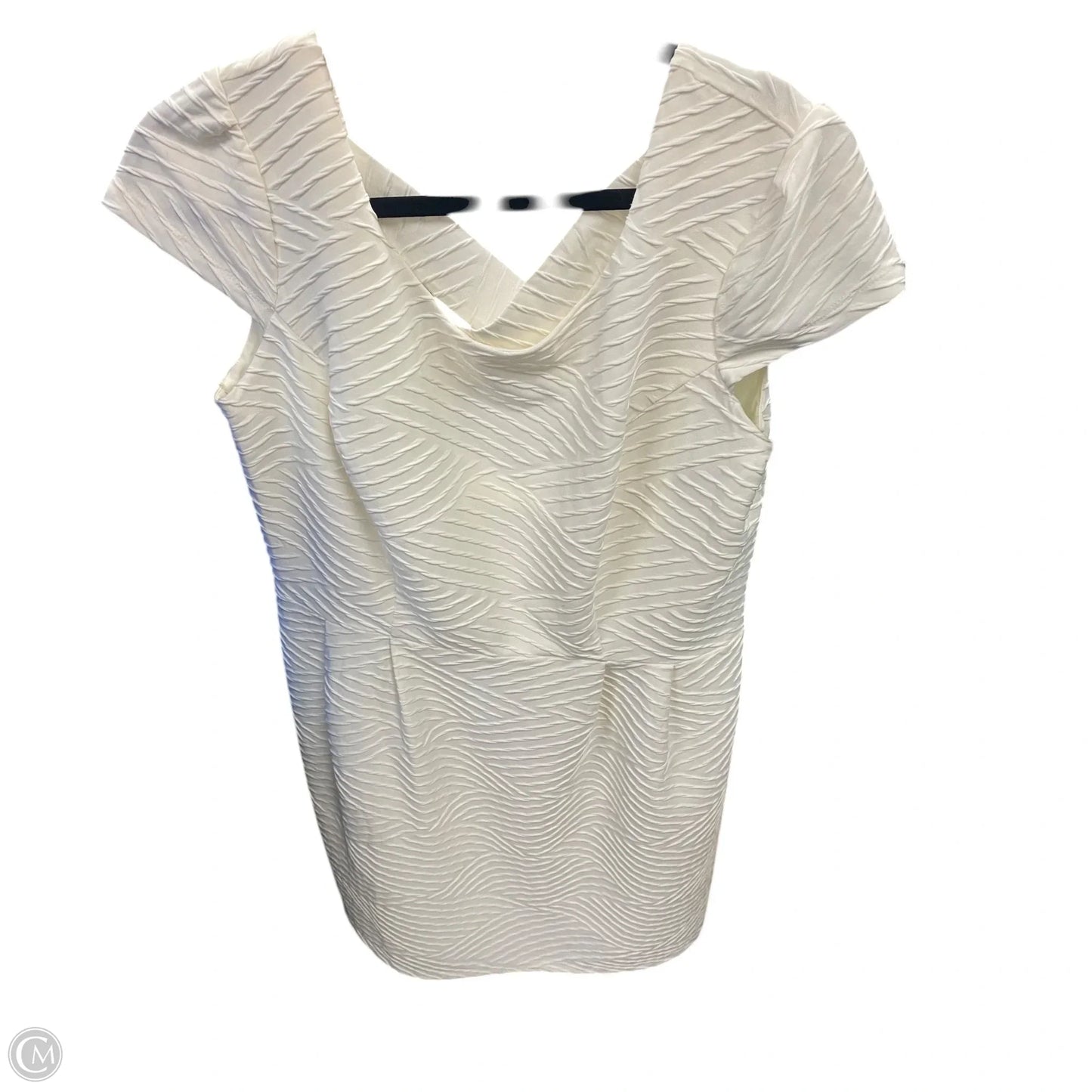 Dress Casual Short By Enfocus In Cream, Size: 16