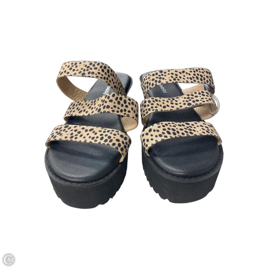 Sandals Heels Platform By Dirty Laundry In Black & Tan, Size: 11