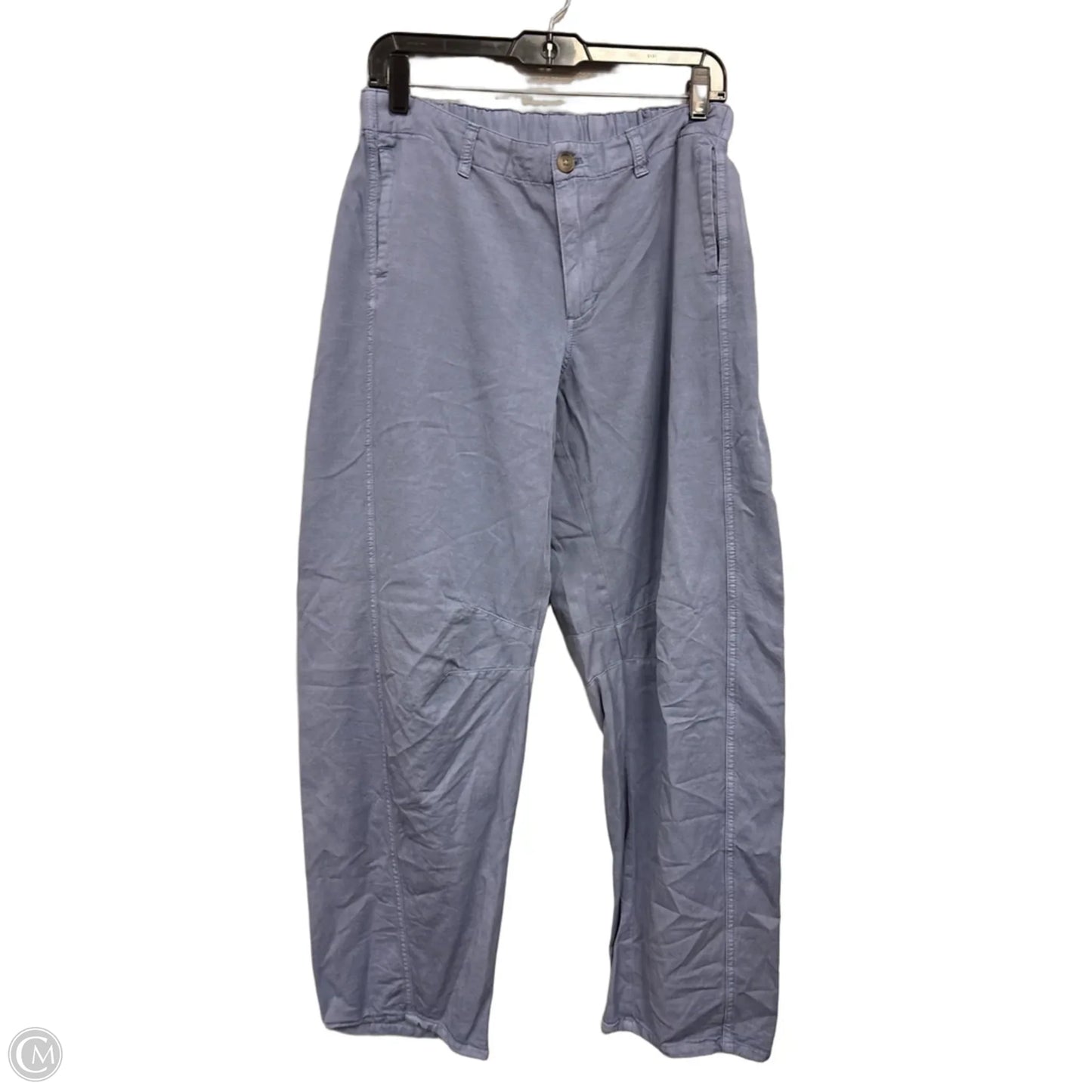 Pants Chinos & Khakis By Universal Thread In Blue, Size: 8