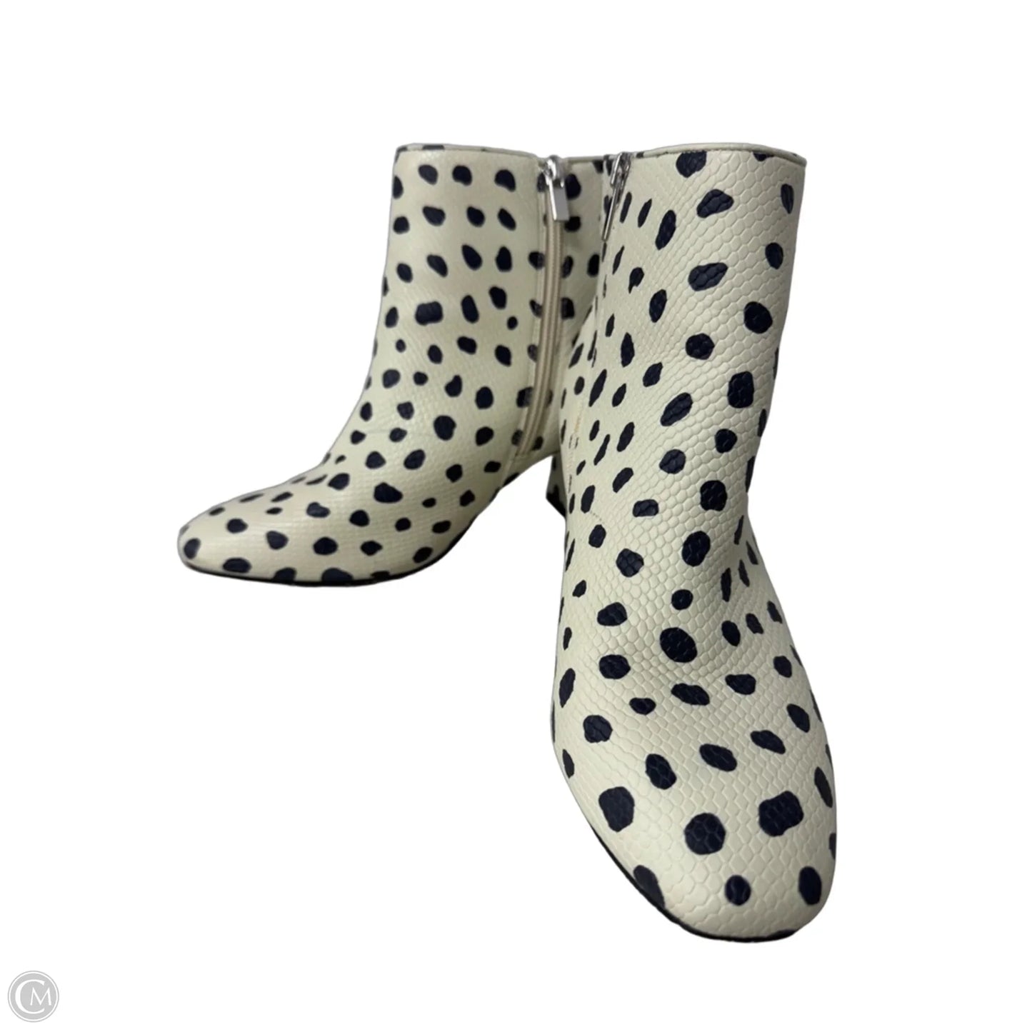 Boots Ankle Heels By Eloquii In Black & Cream, Size: 8
