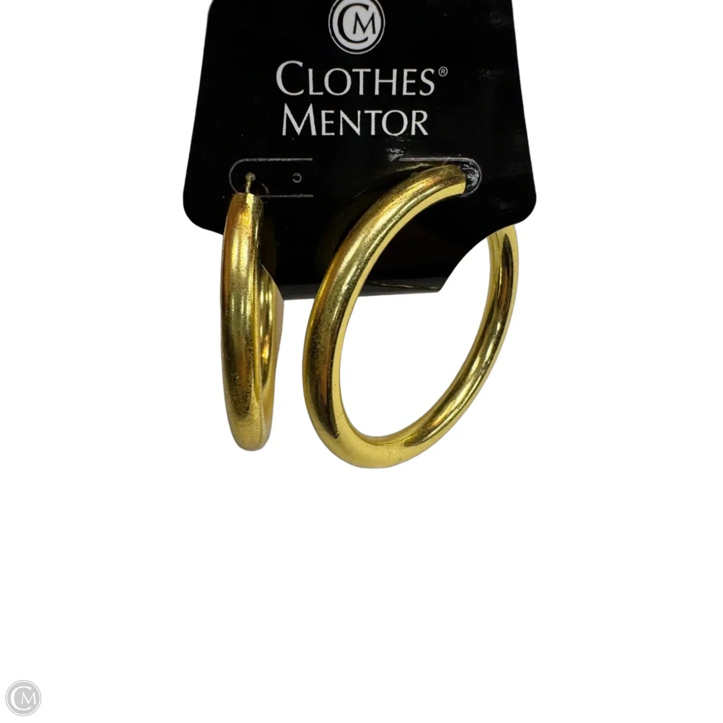 Earrings Hoop By Clothes Mentor