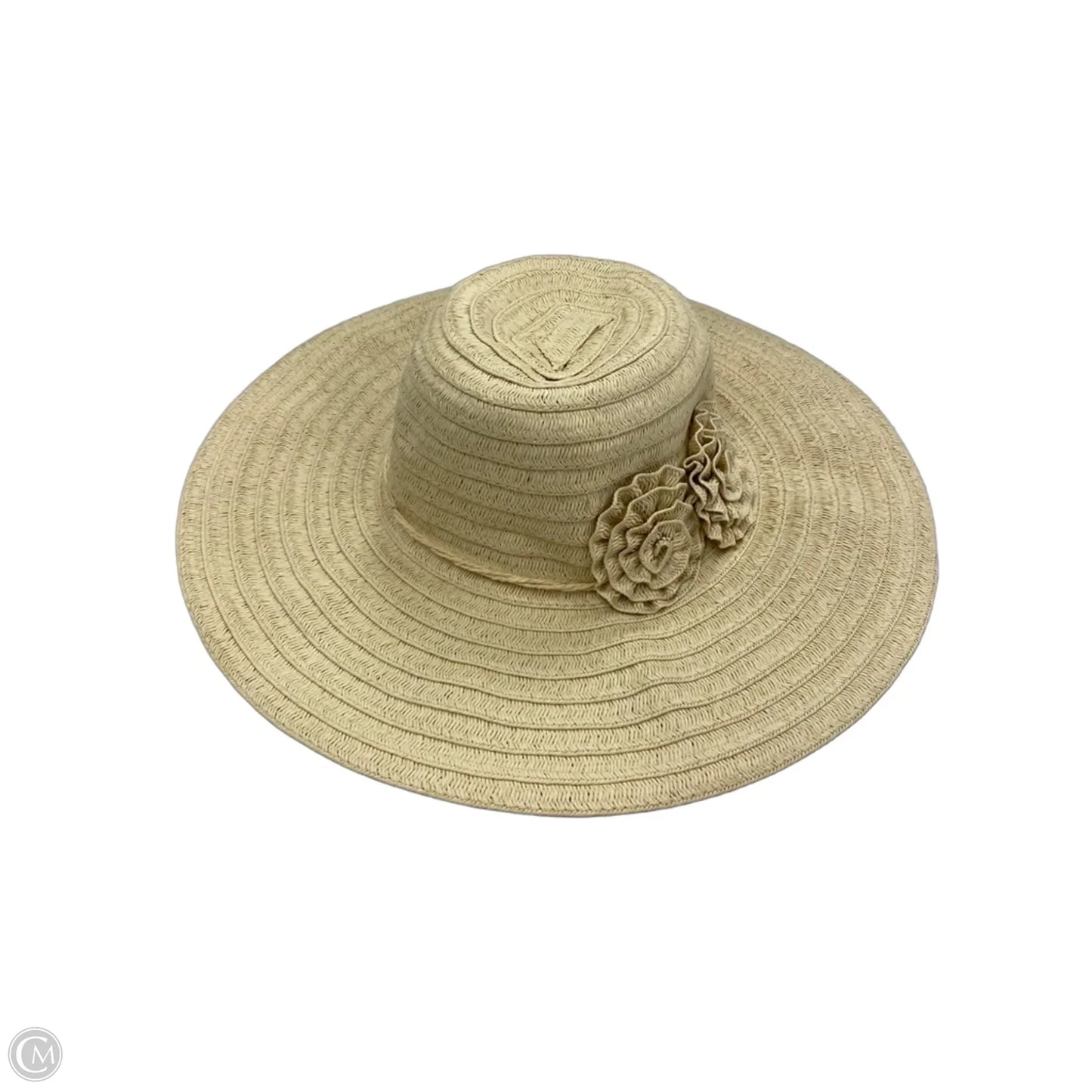 Hat Floppy By Clothes Mentor