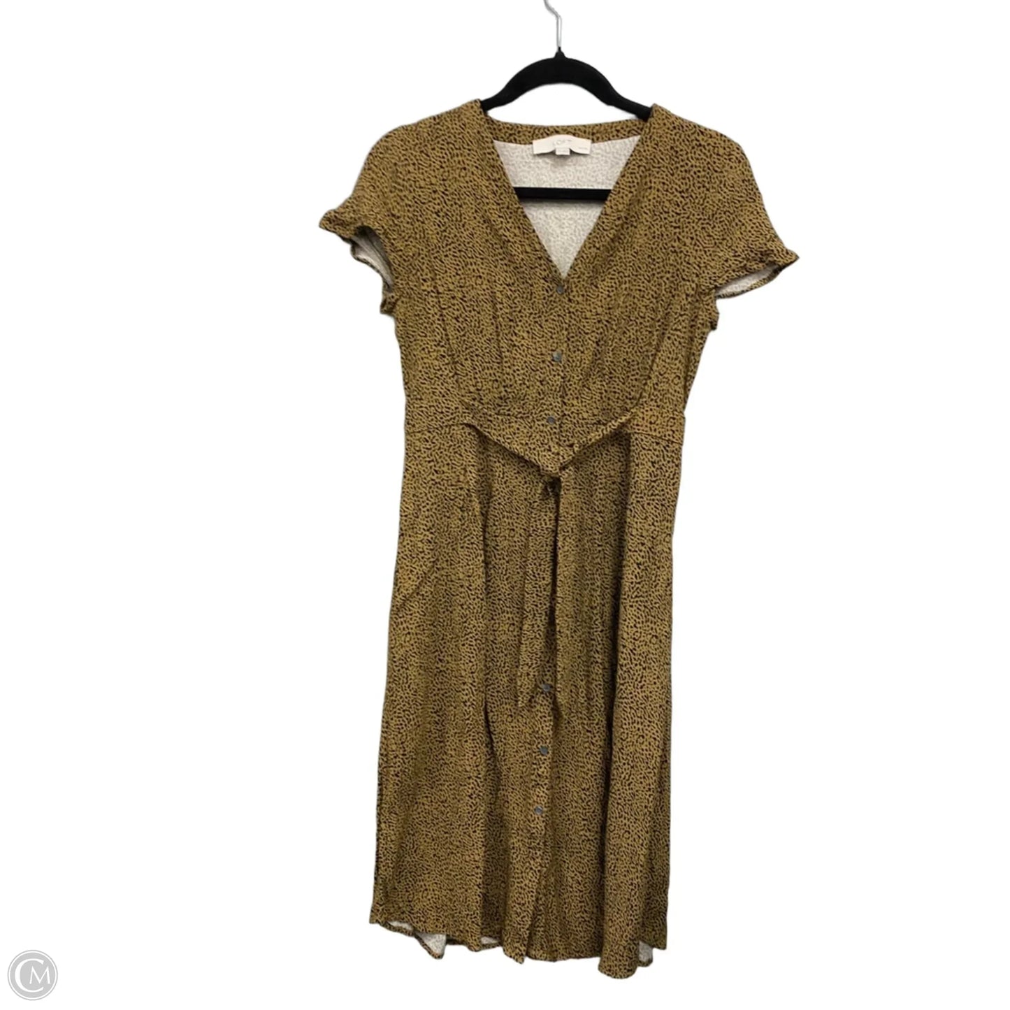 Dress Casual Short By Loft In Black & Tan, Size: 2p