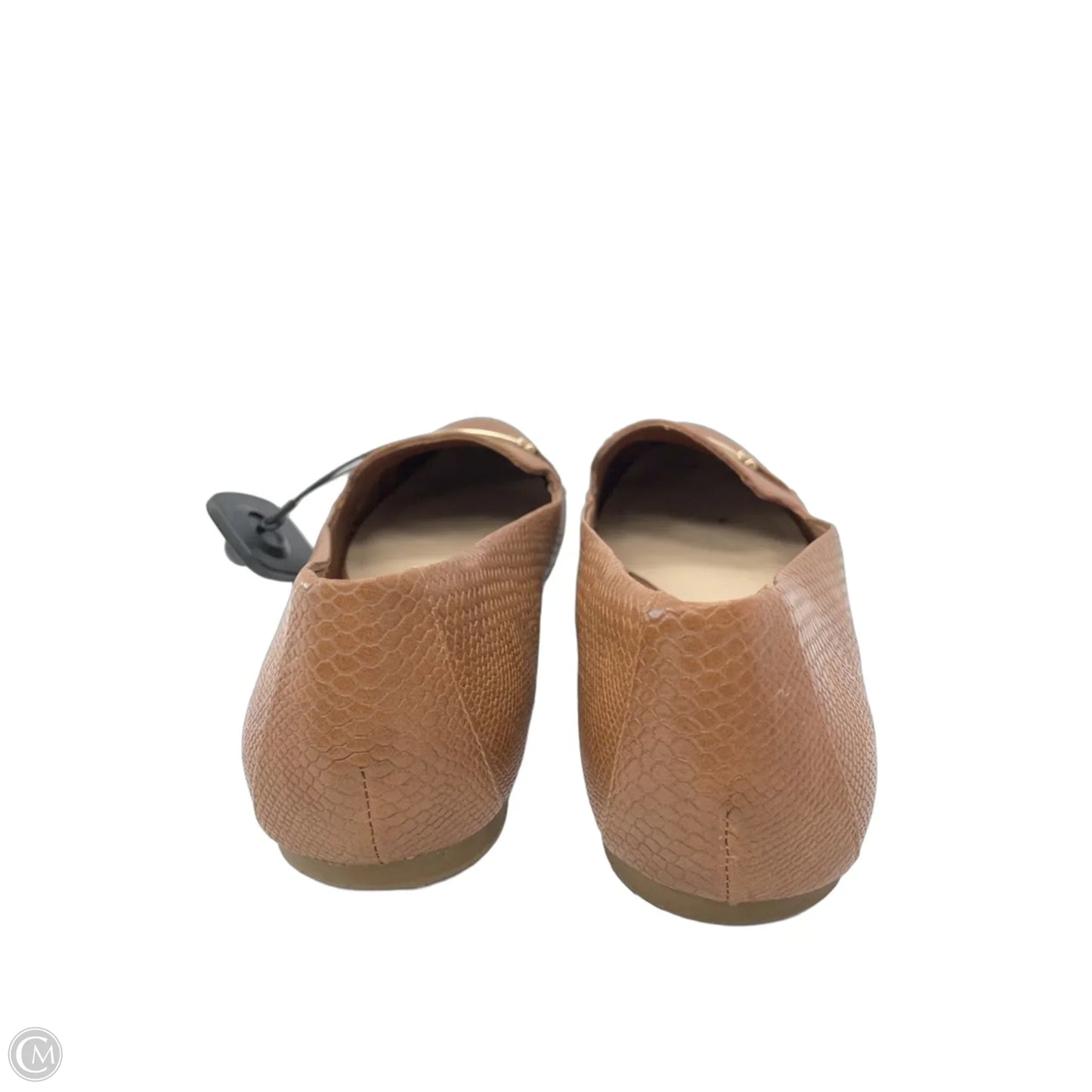 Shoes Flats By Aldo In Brown, Size: 10