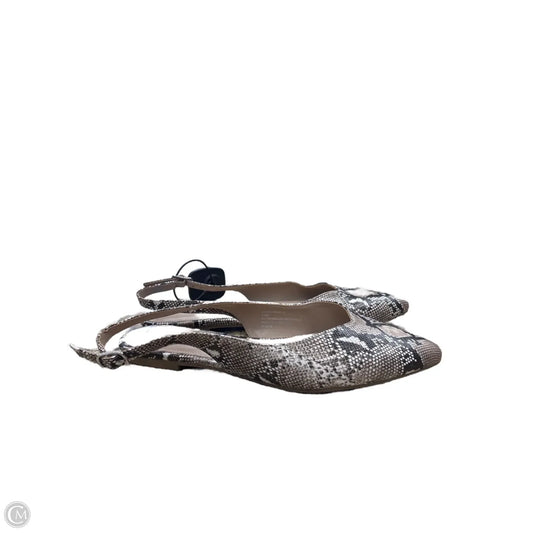 Shoes Flats By Madden Girl In Snakeskin Print, Size: 7.5