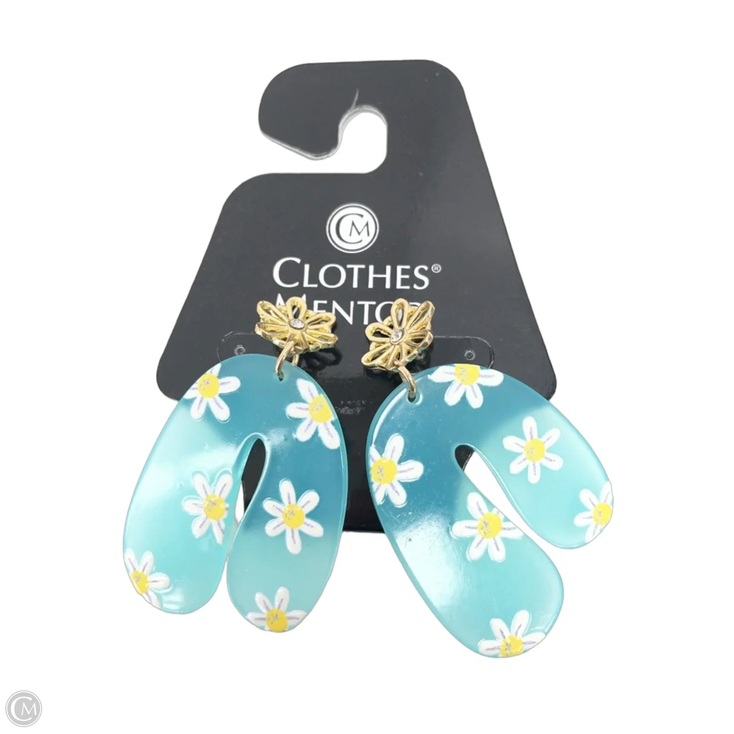 Earrings Dangle/drop By Clothes Mentor