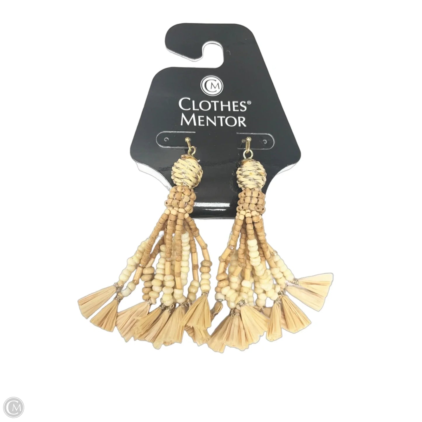 Earrings Dangle/drop By Clothes Mentor