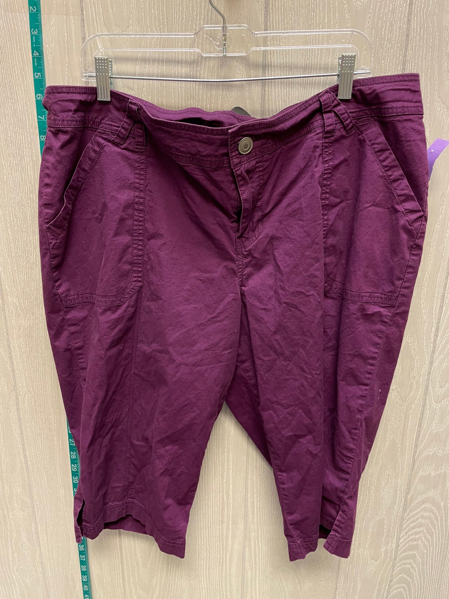 Purple Shorts Lane Bryant, Size 20