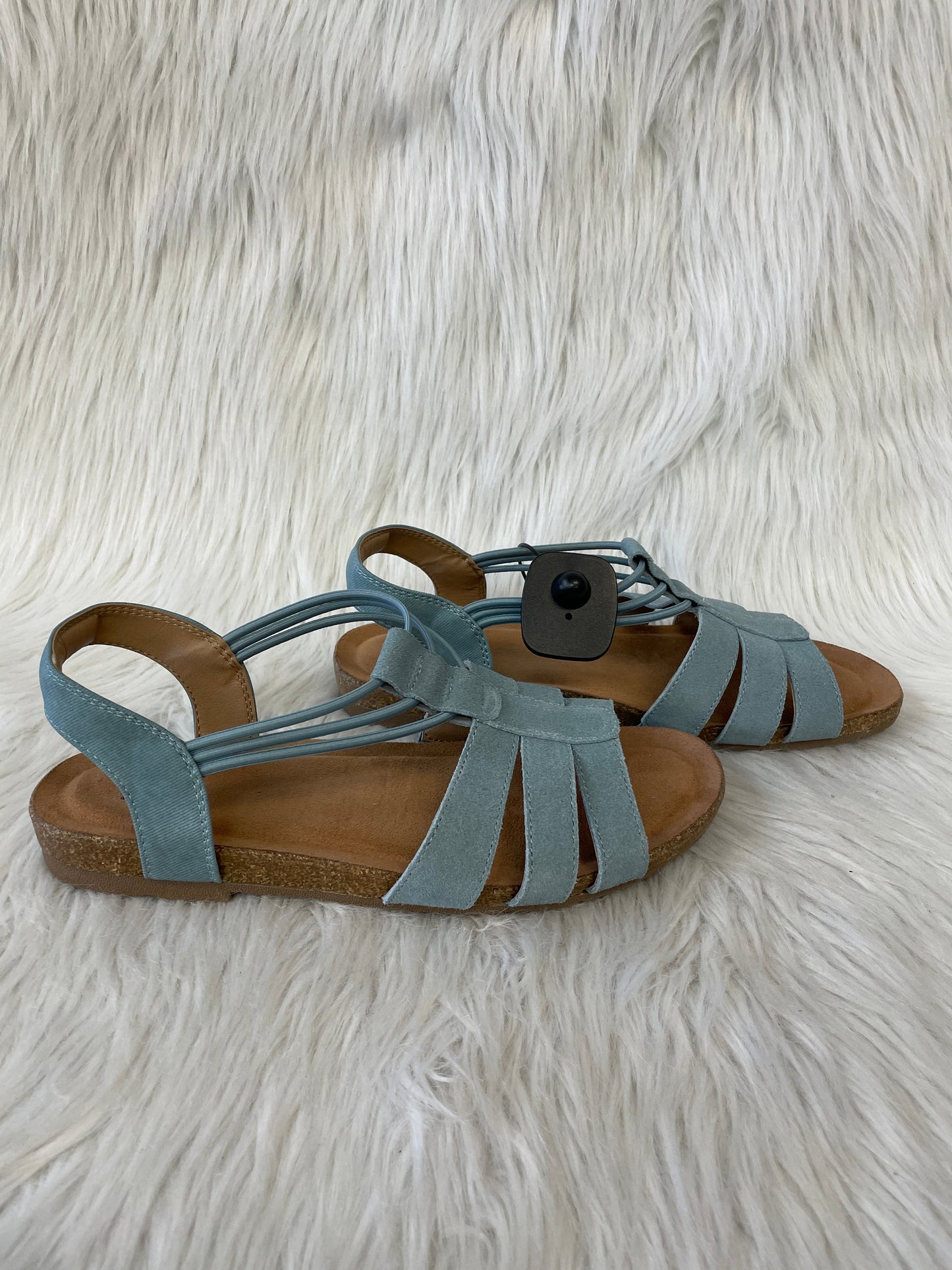 Sandals Heels Wedge By Earth Origins In Blue & Brown, Size: 9