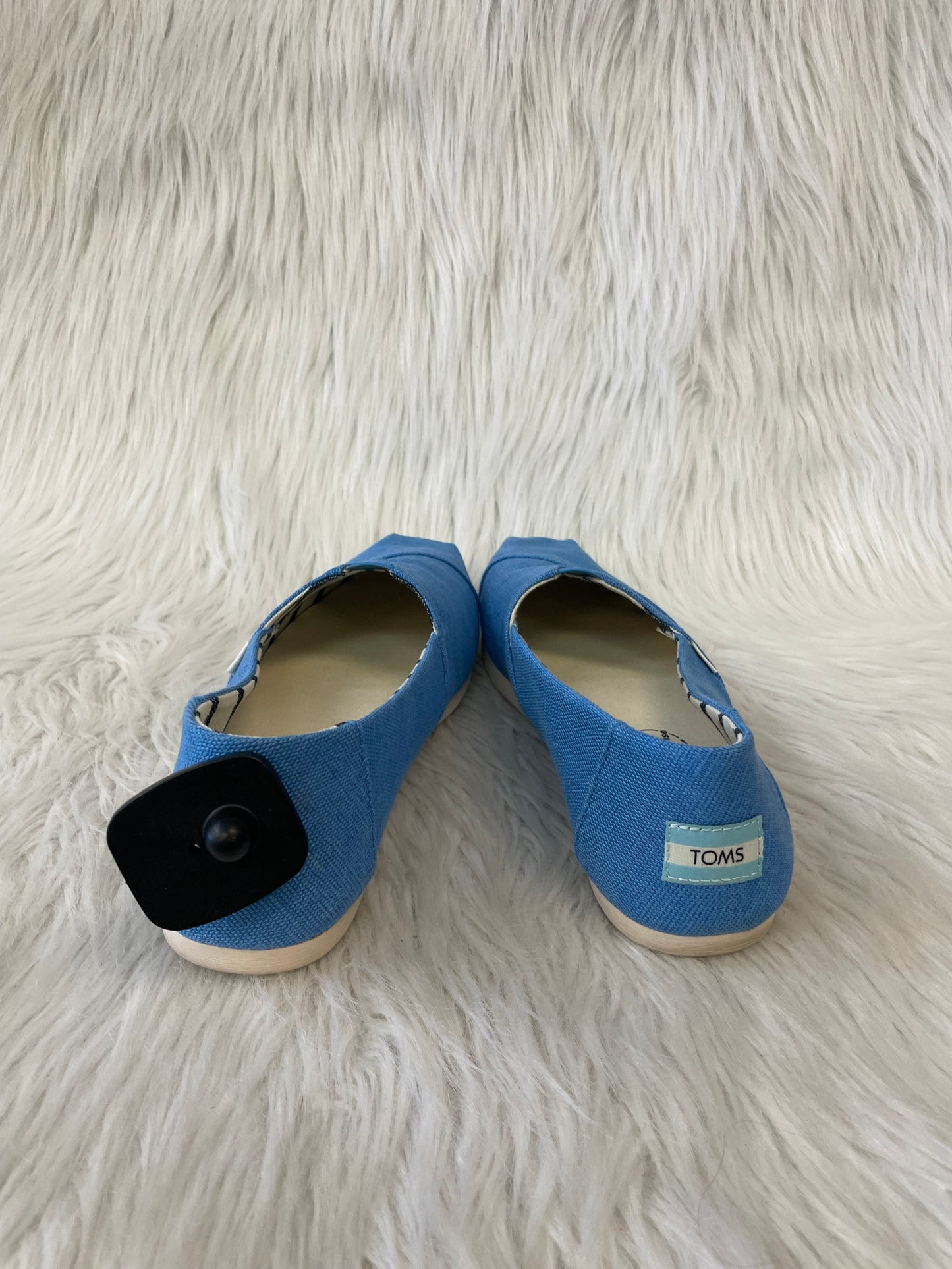 Shoes Flats By Toms In Blue, Size: 10