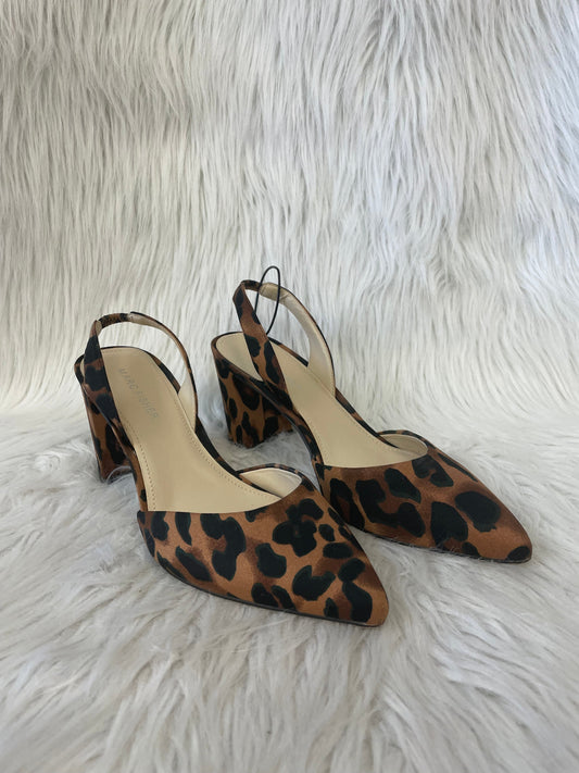 Shoes Heels Block By Marc Fisher In Animal Print, Size: 7