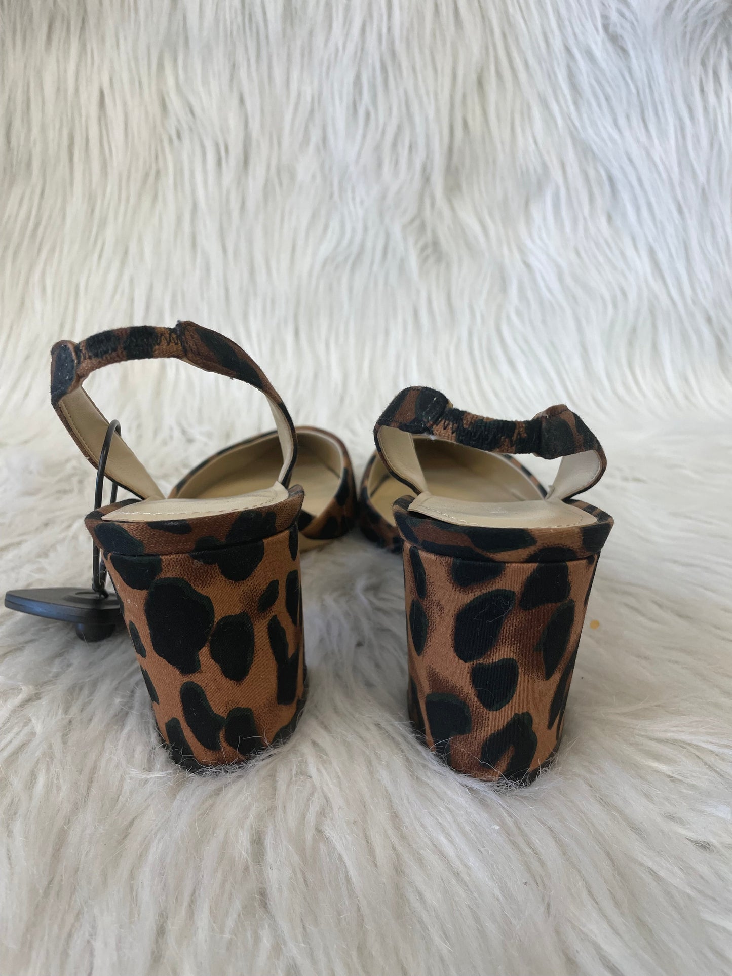 Shoes Heels Block By Marc Fisher In Animal Print, Size: 7