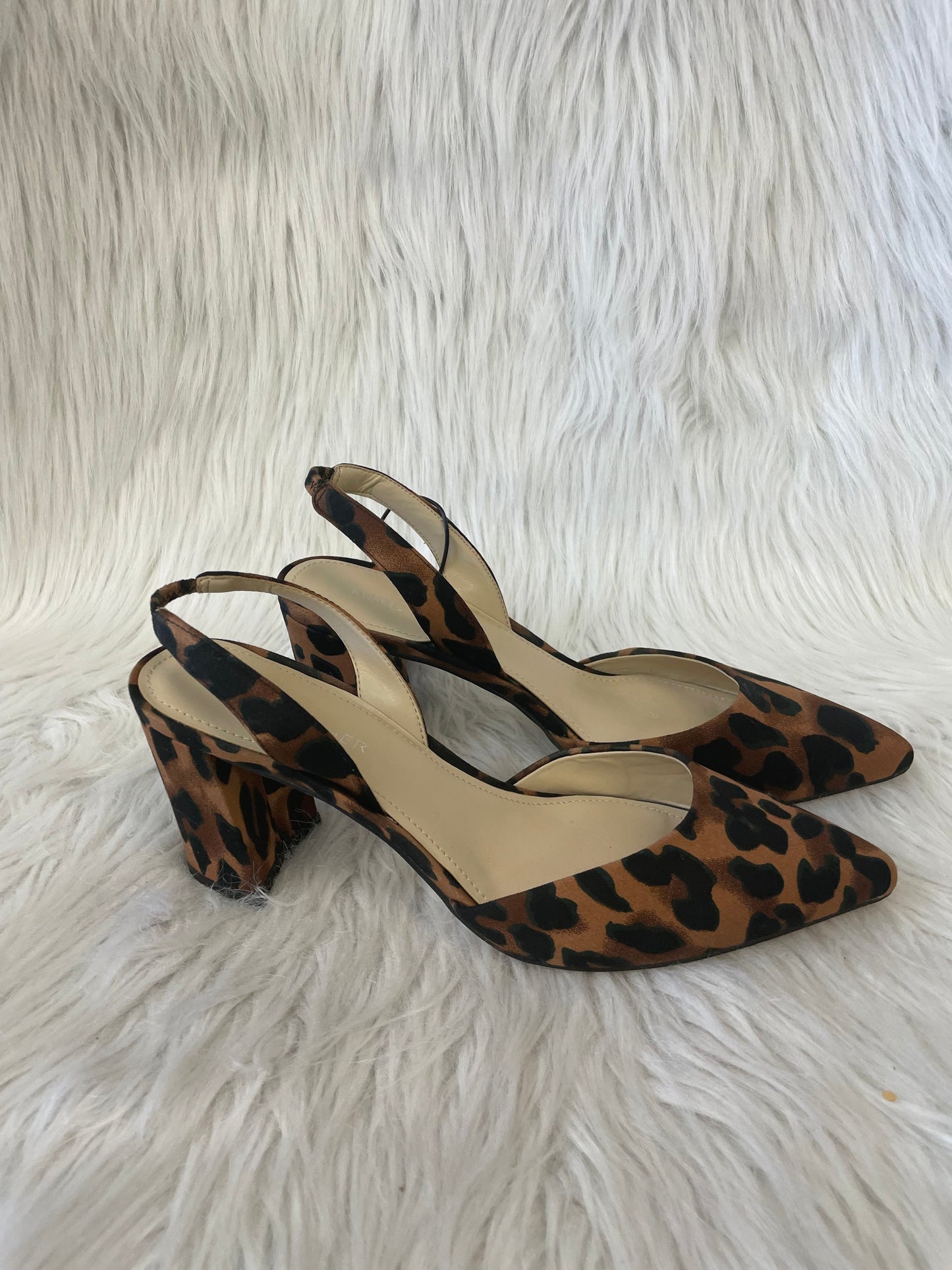 Shoes Heels Block By Marc Fisher In Animal Print, Size: 7