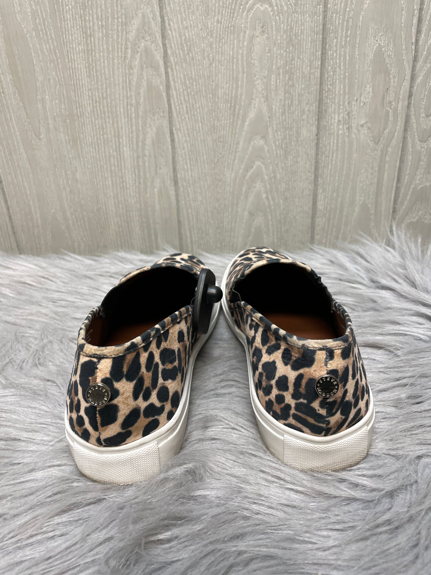 Shoes Flats By Steve Madden In Animal Print, Size: 8