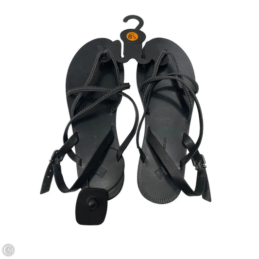 Sandals Flats By Antonio Melani In Black, Size: 8.5