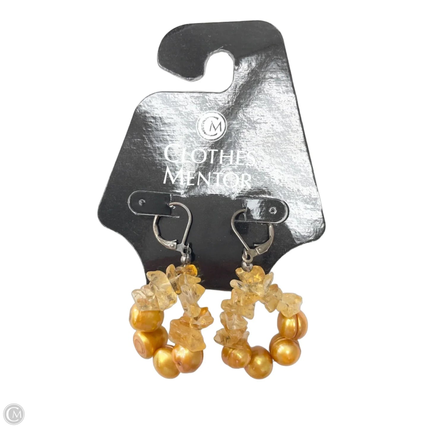 Earrings Dangle/drop By Clothes Mentor