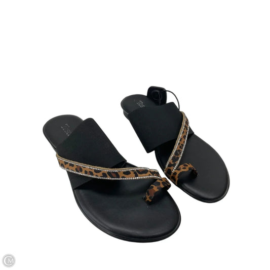 Sandals Flats By Toscanella In Multi-colored, Size: 7.5