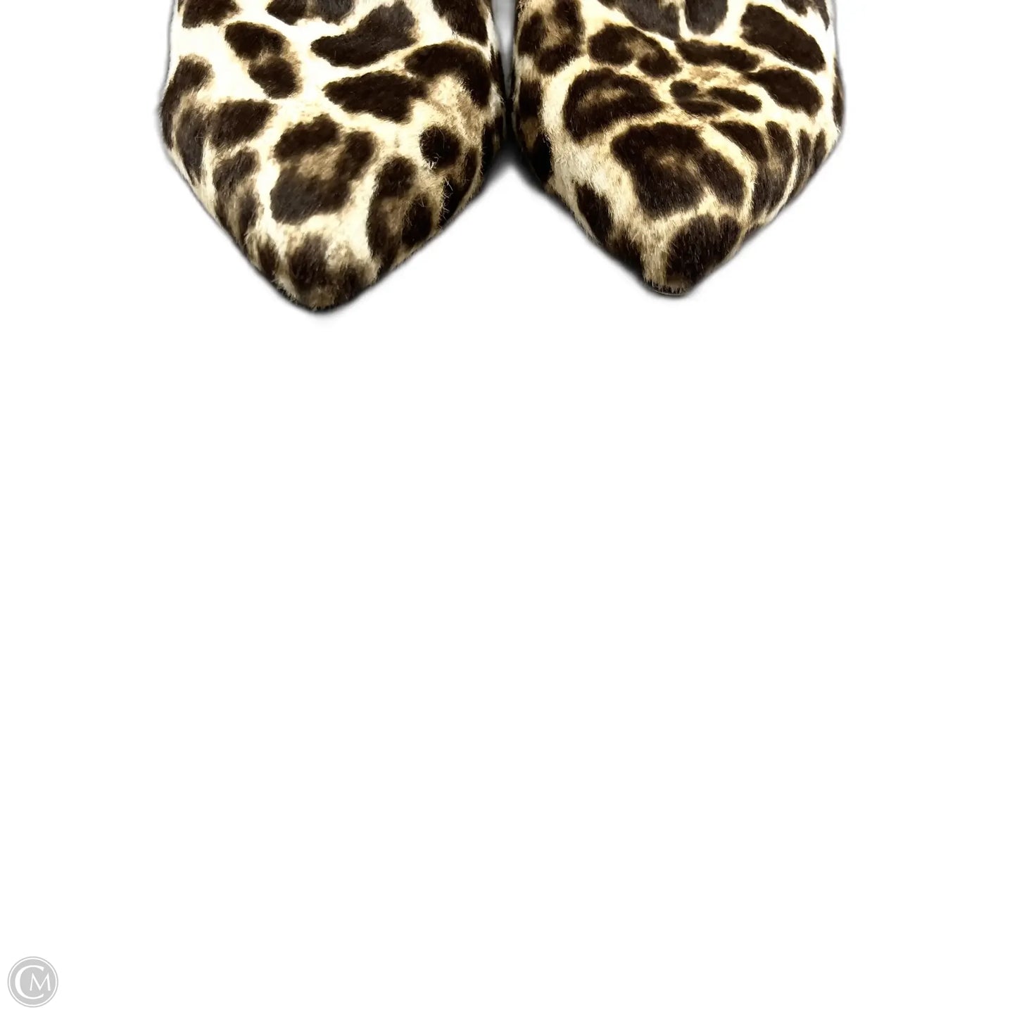 Boots Luxury Designer By Alexander Wang In Leopard Print, Size: 6.5