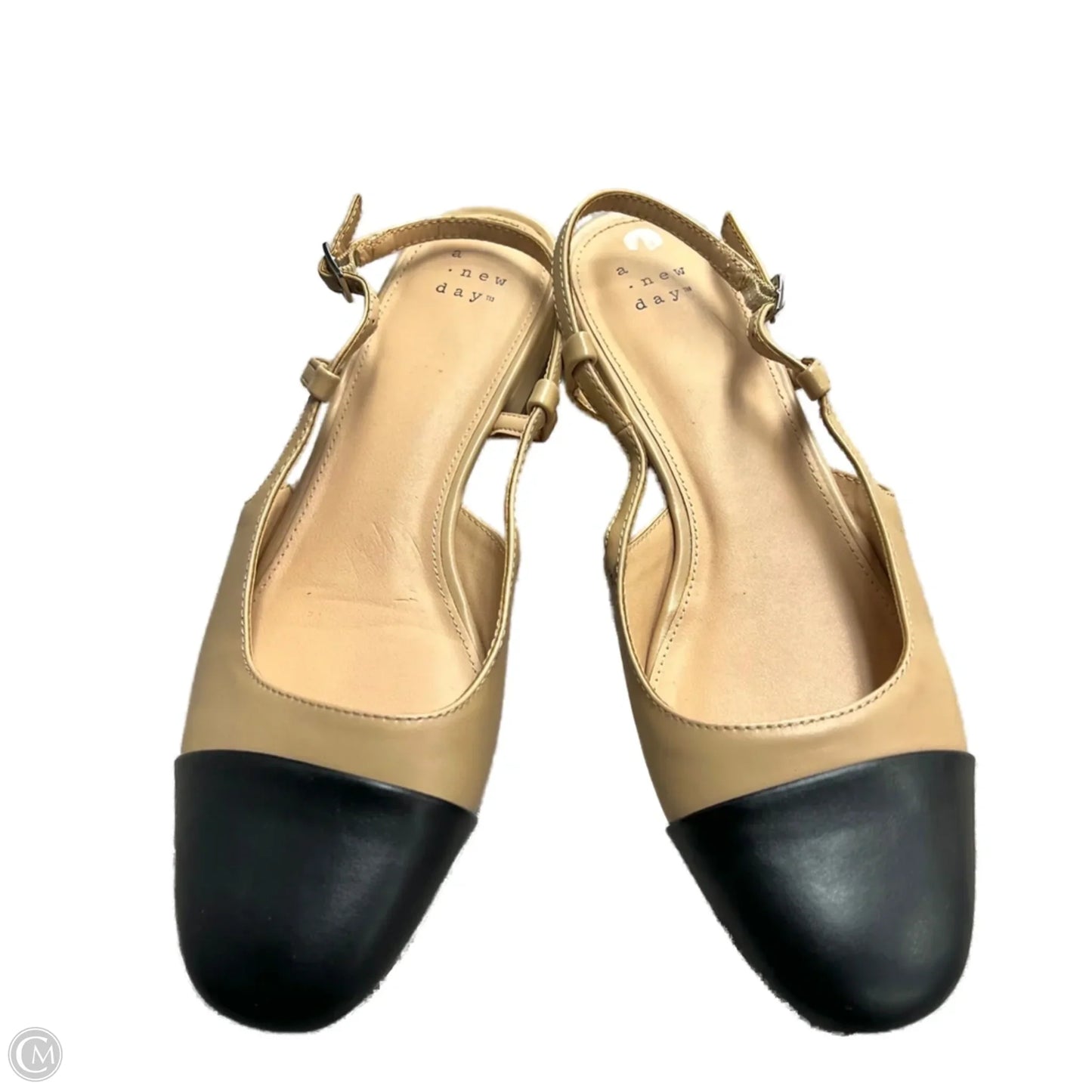 Shoes Heels Block By A New Day In Black & Tan, Size: 7