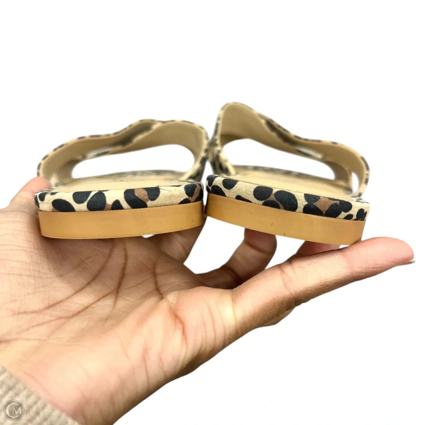 Sandals Designer By Stuart Weitzman In Leopard Print, Size: 9